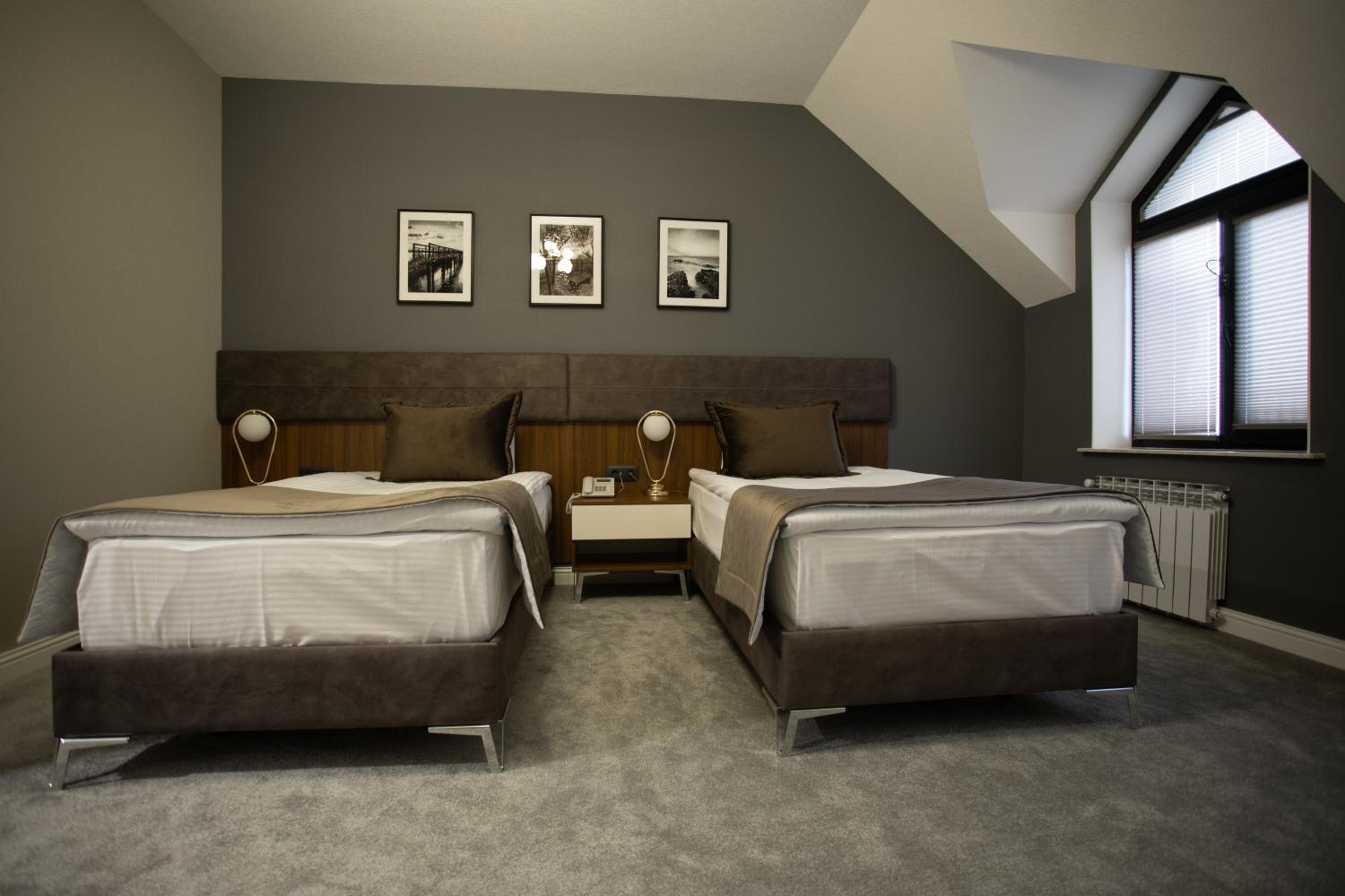 Deluxe Twin Room