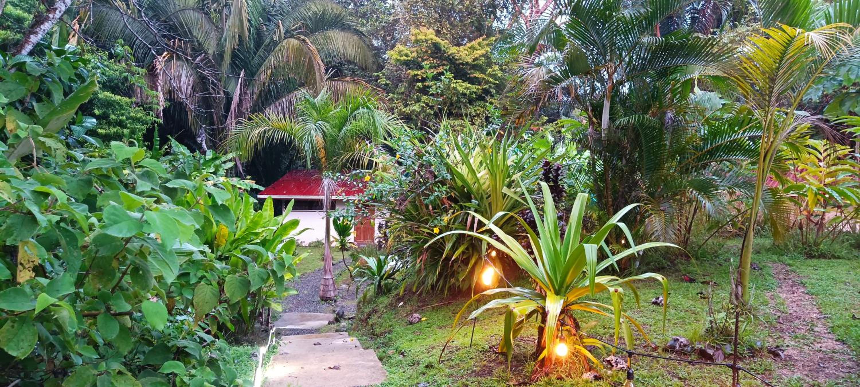 Family Bungalow photo 2