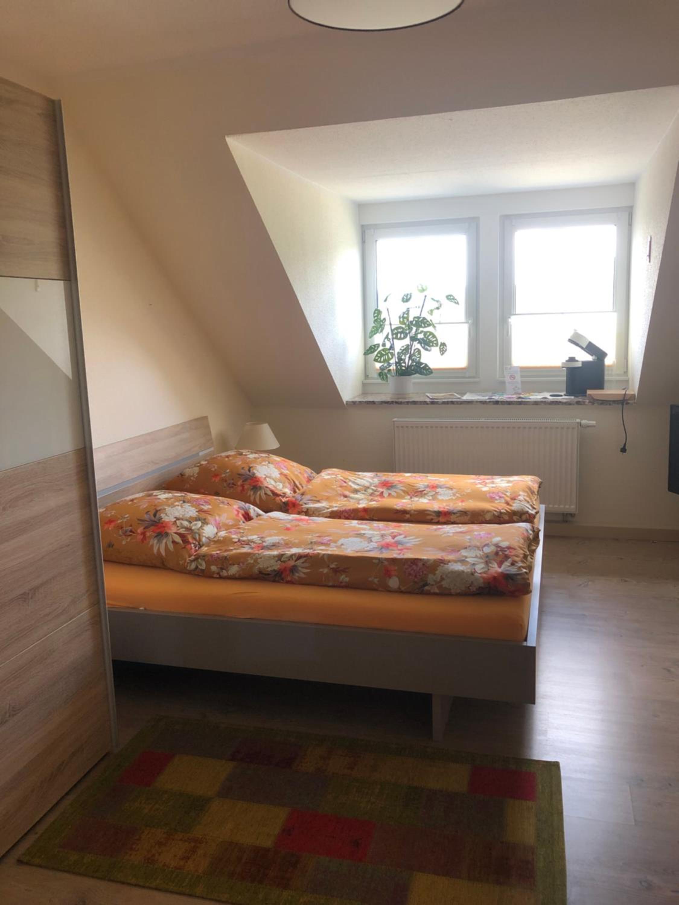 Deluxe Double Room with Shower photo 2