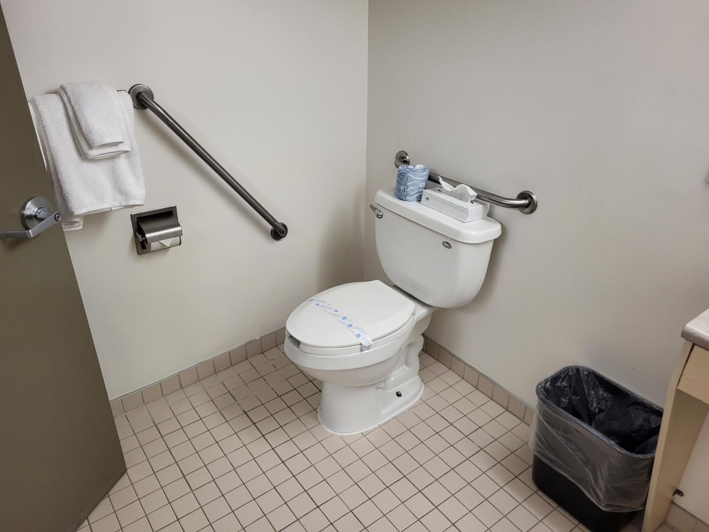 Barrier Free Accesible Suite photo 3