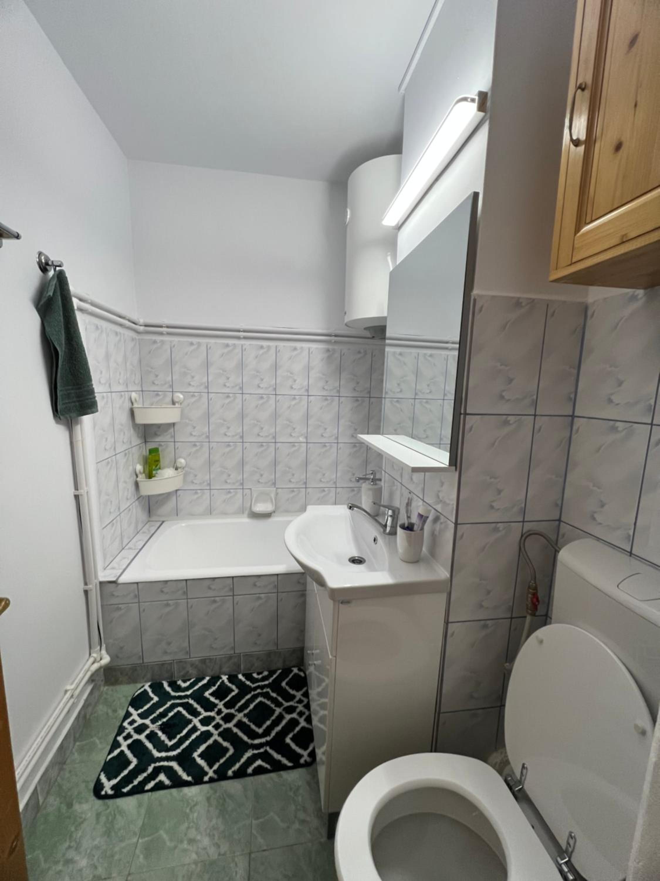 One-Bedroom Apartment photo 2