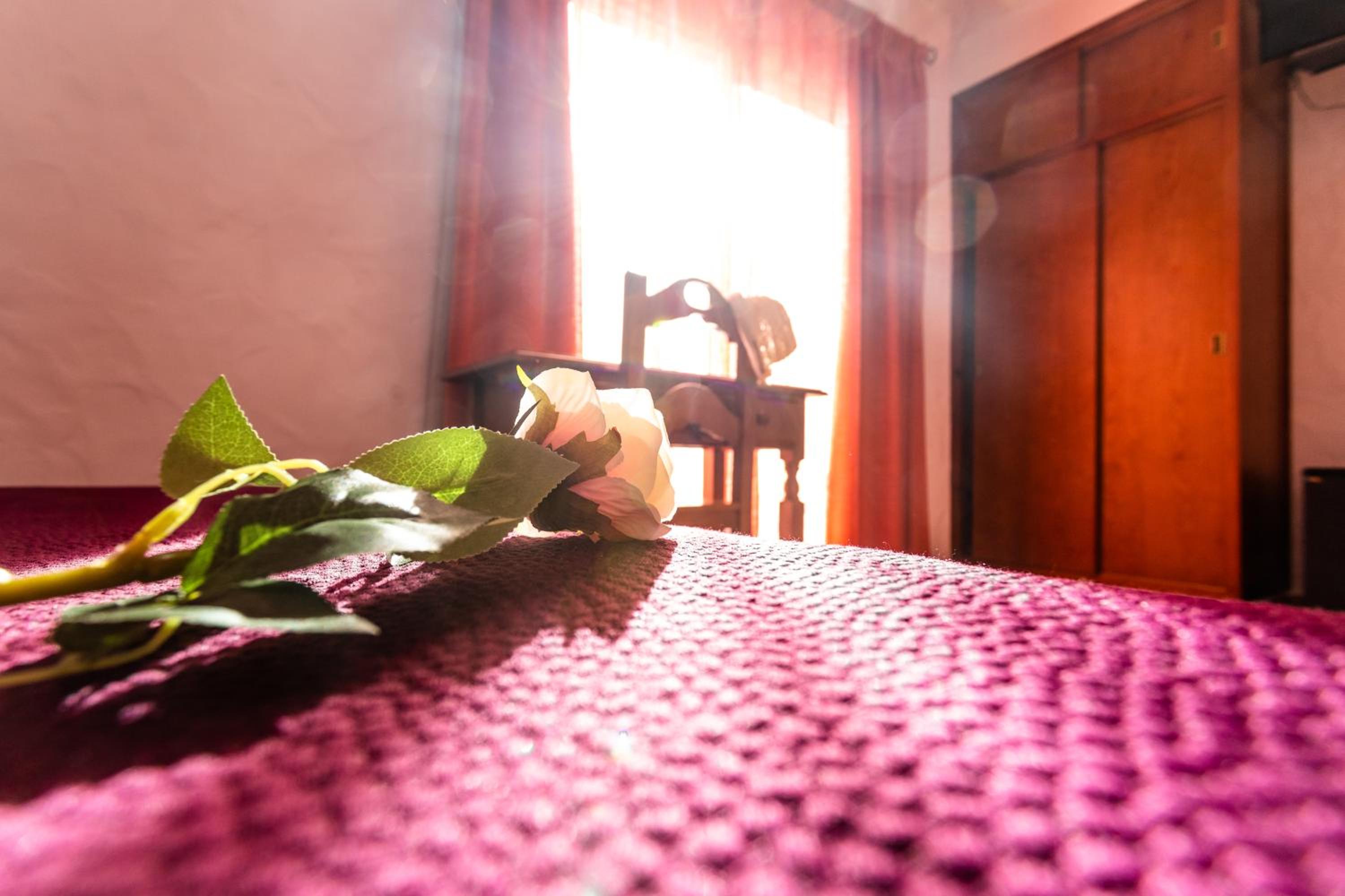 Standard Double Room - Photo 7