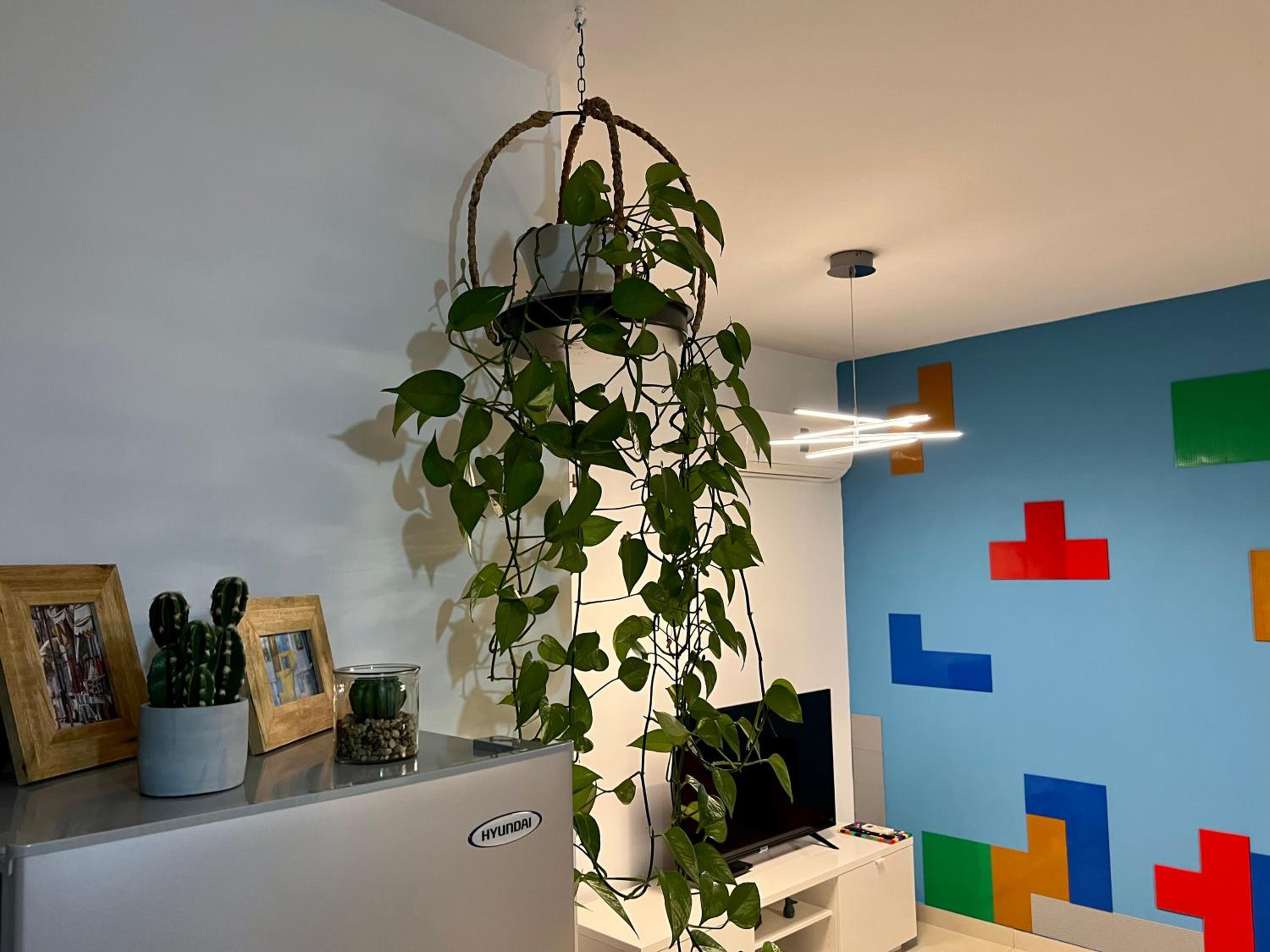 One-Bedroom Apartment - Photo 14