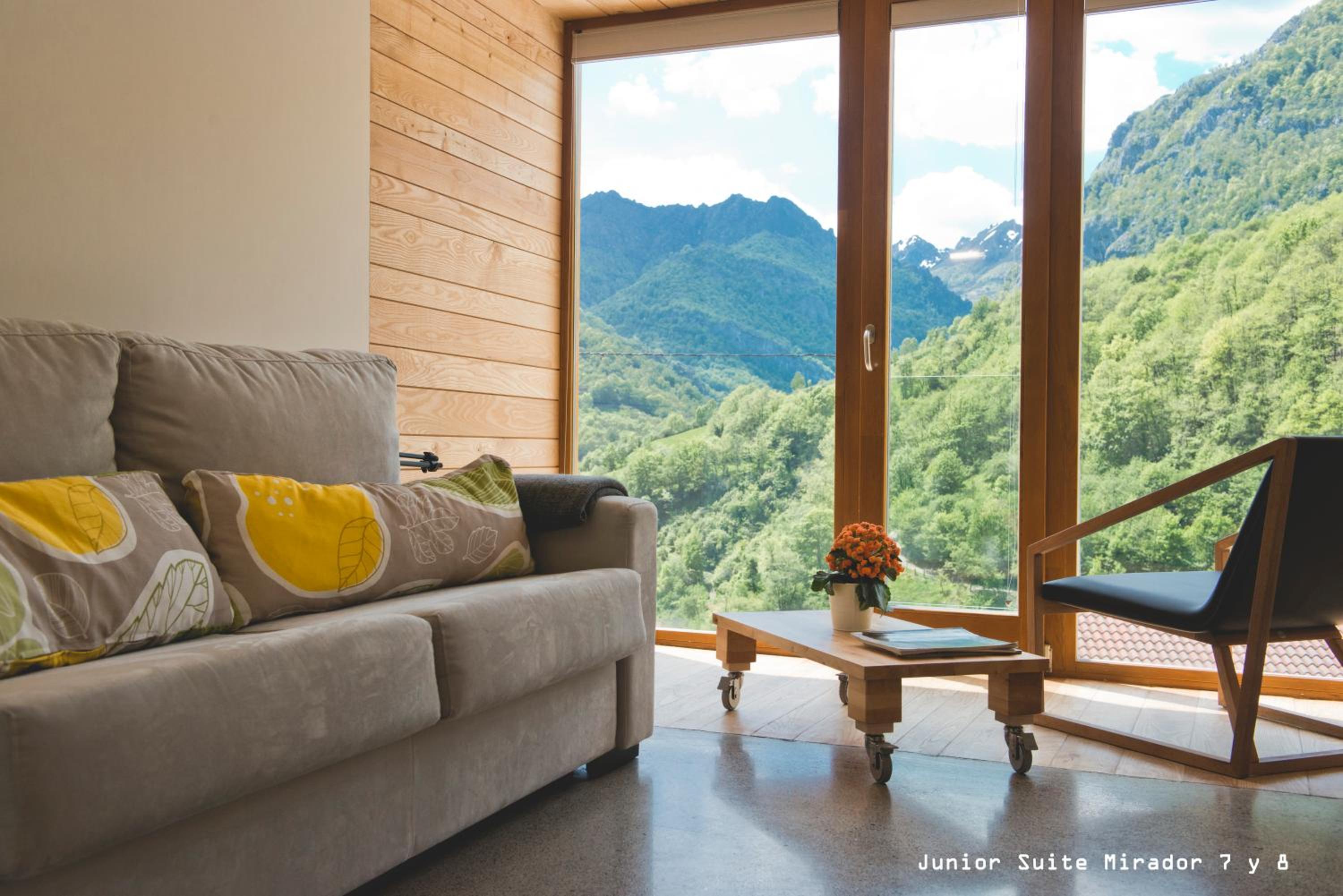 Suite Junior Mirador