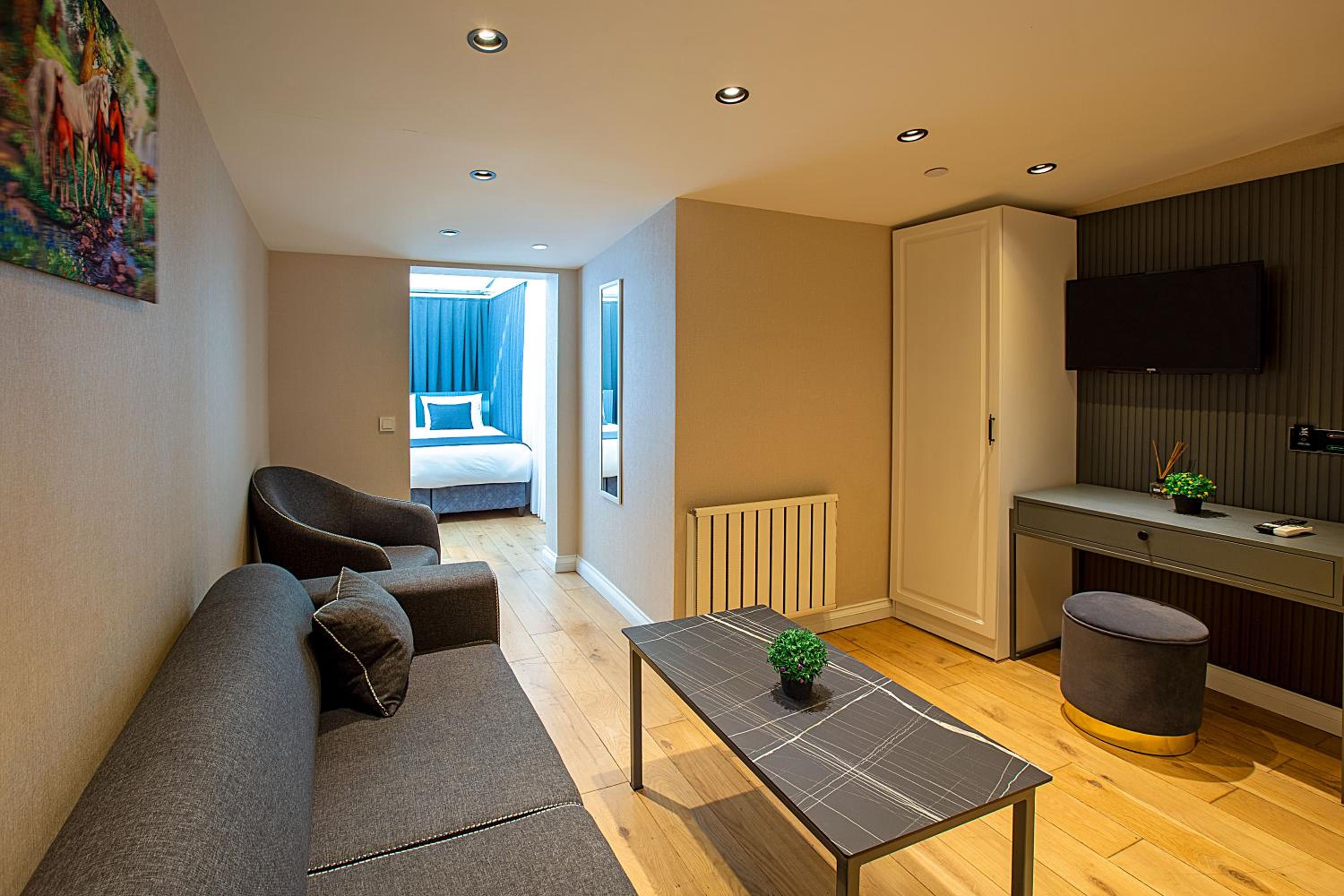 Deluxe Junior Suite photo 1