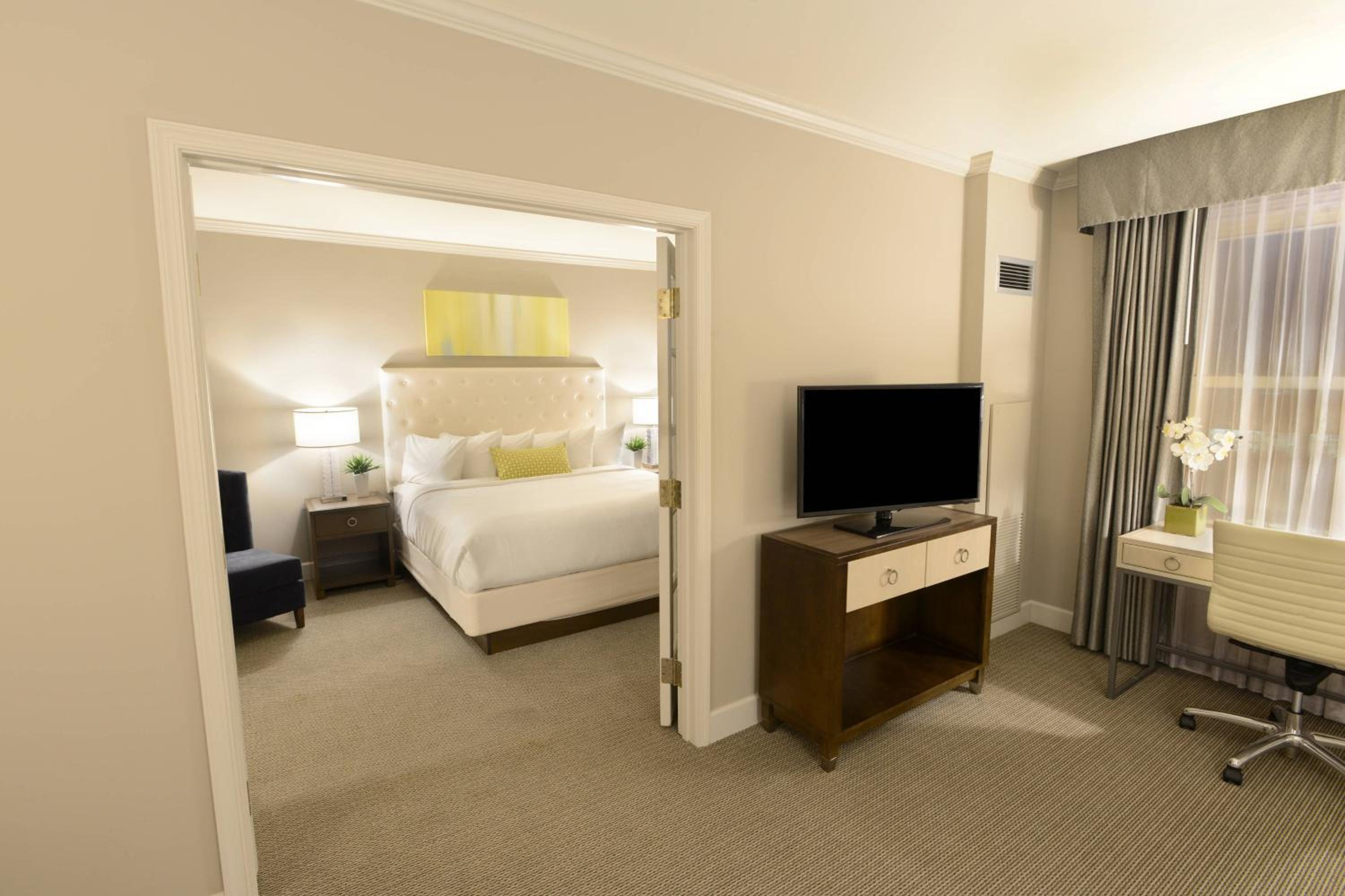 Suite, 1 King photo 3