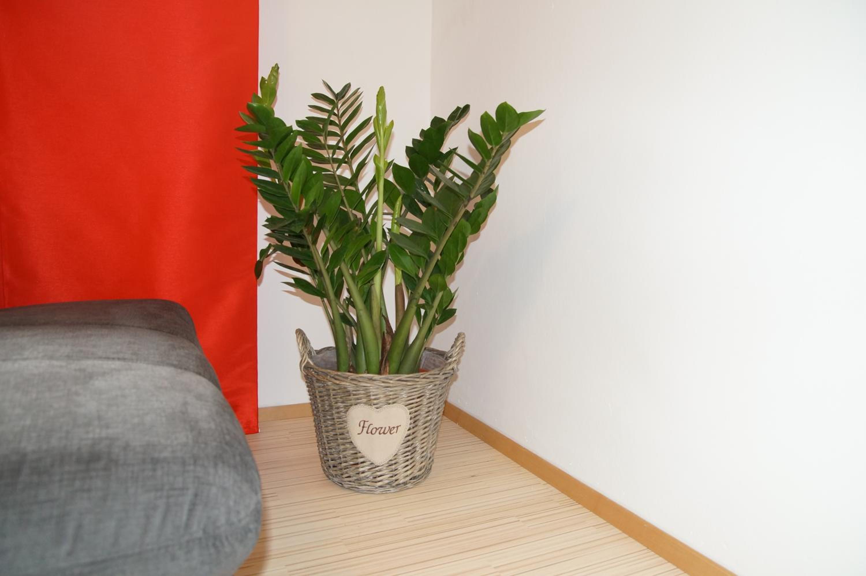 Deluxe Suite A photo 2