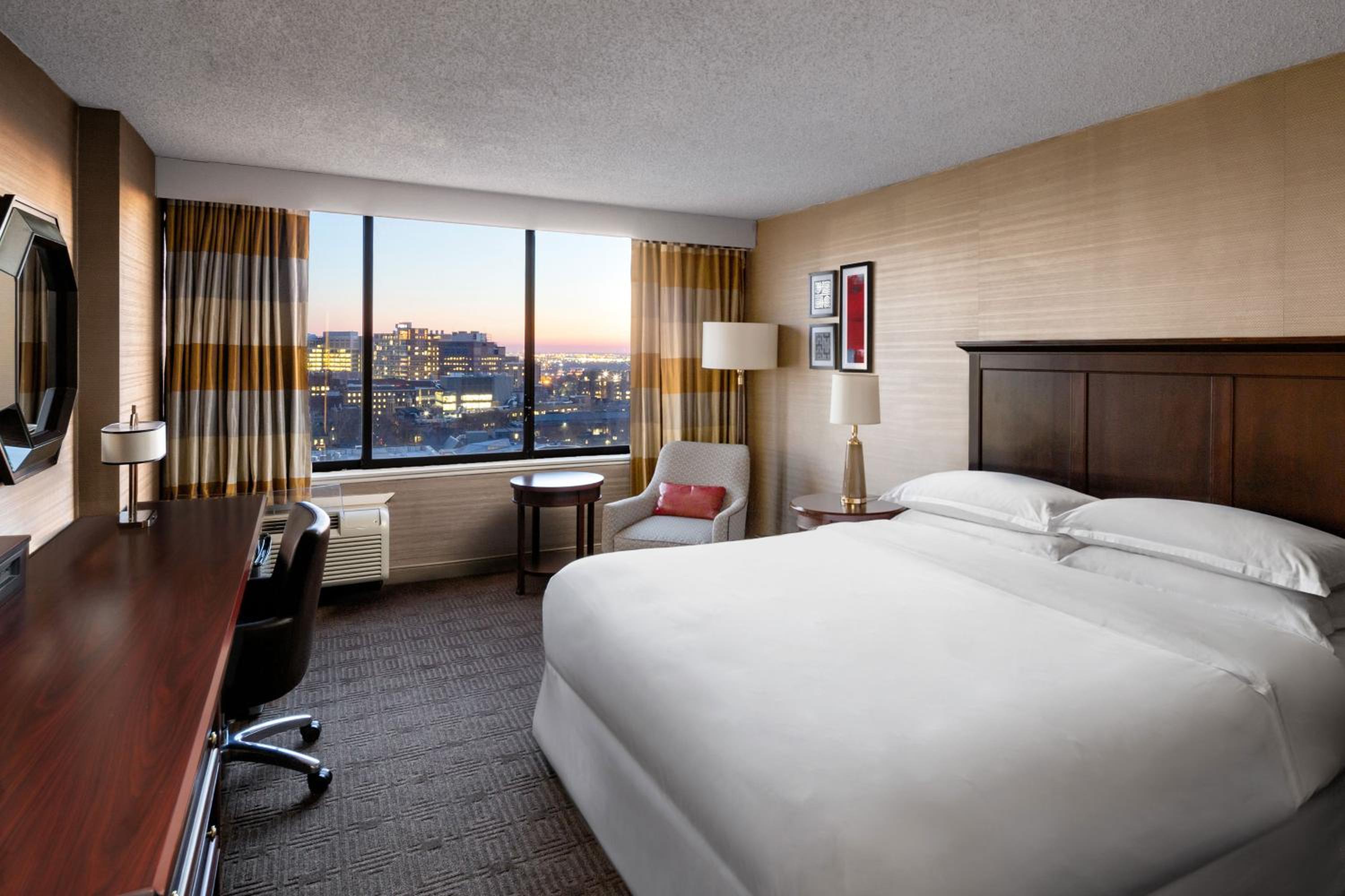 King Room photo 1