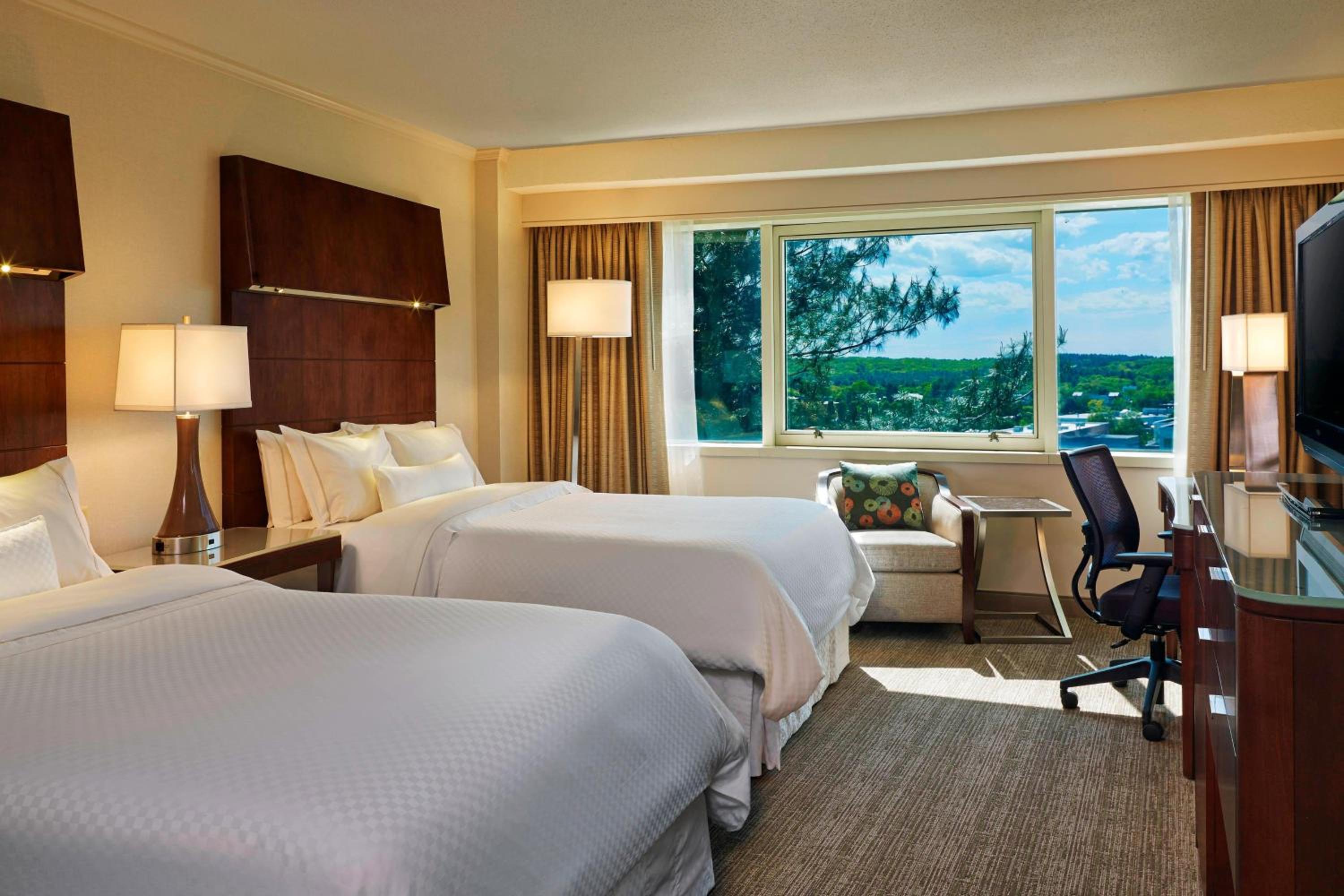 Deluxe Room, Guest room, 2 Double - Photo 4