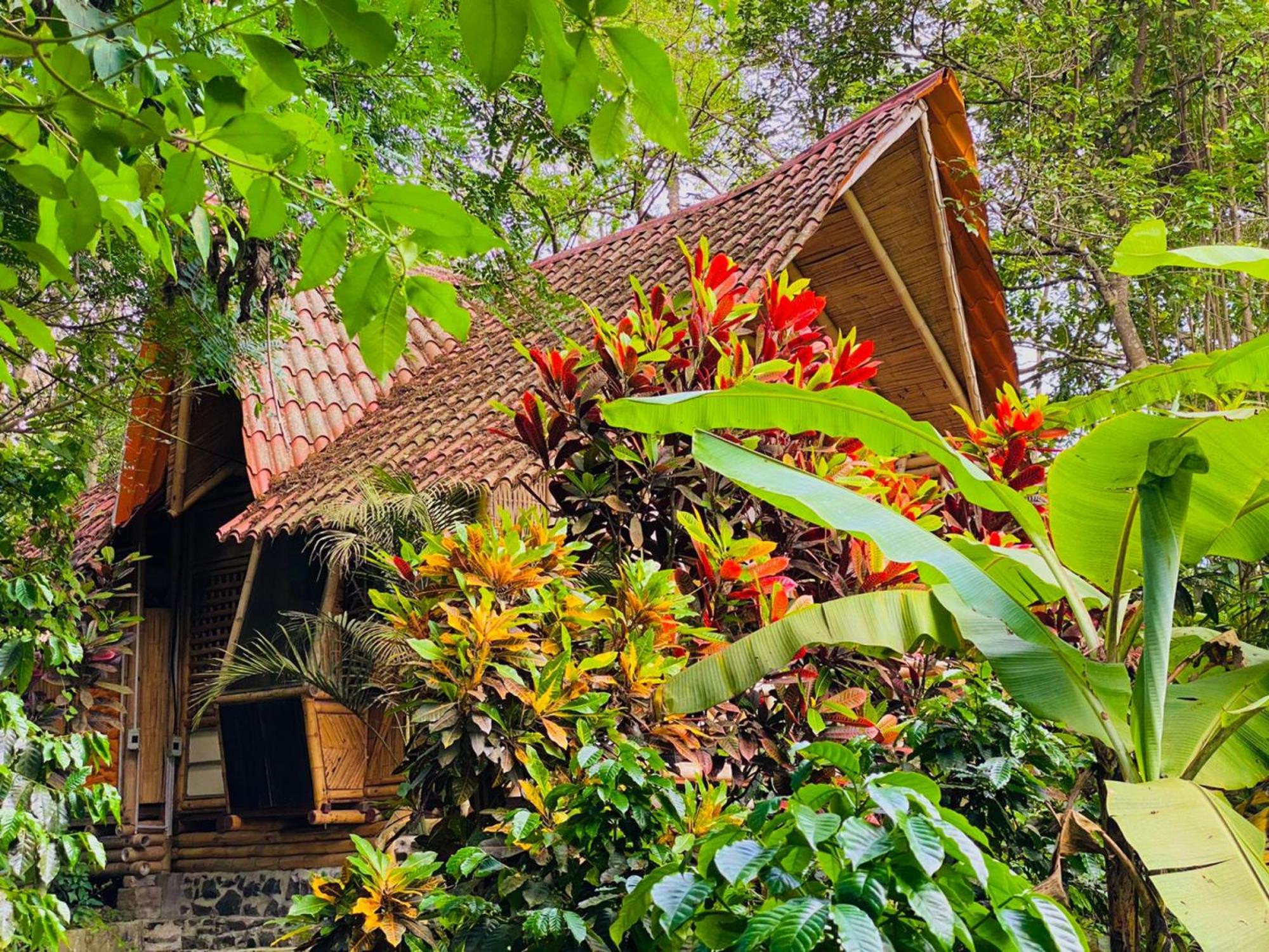 Family Bungalow photo 1
