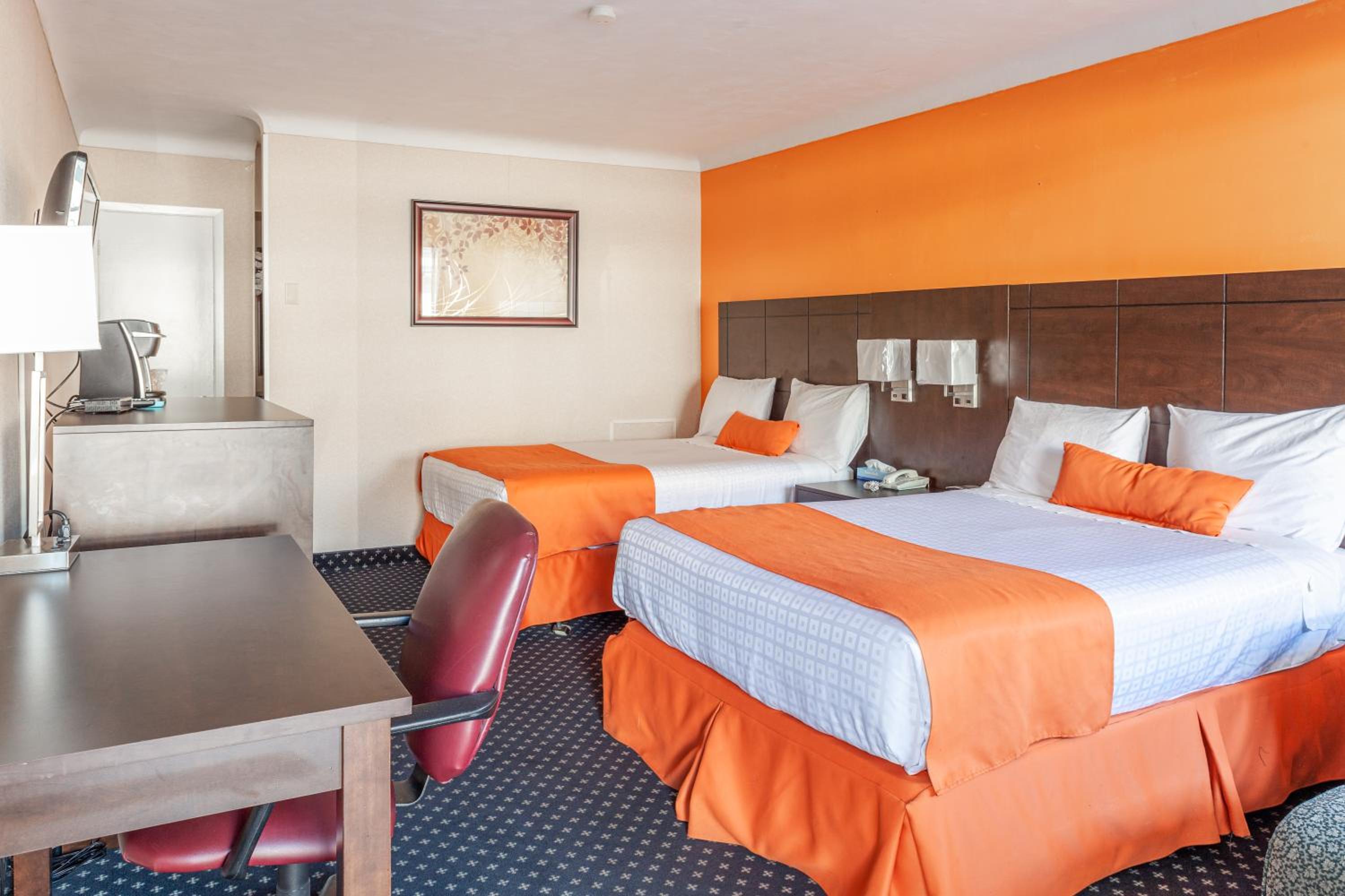 Suite photo 1