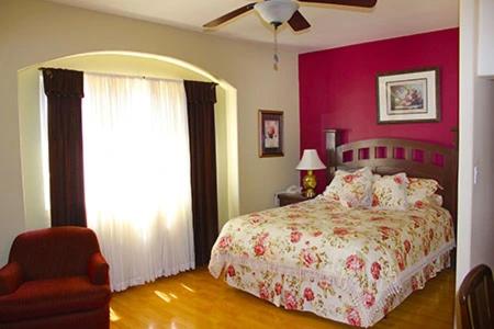 Queen Room With Pool View photo 1