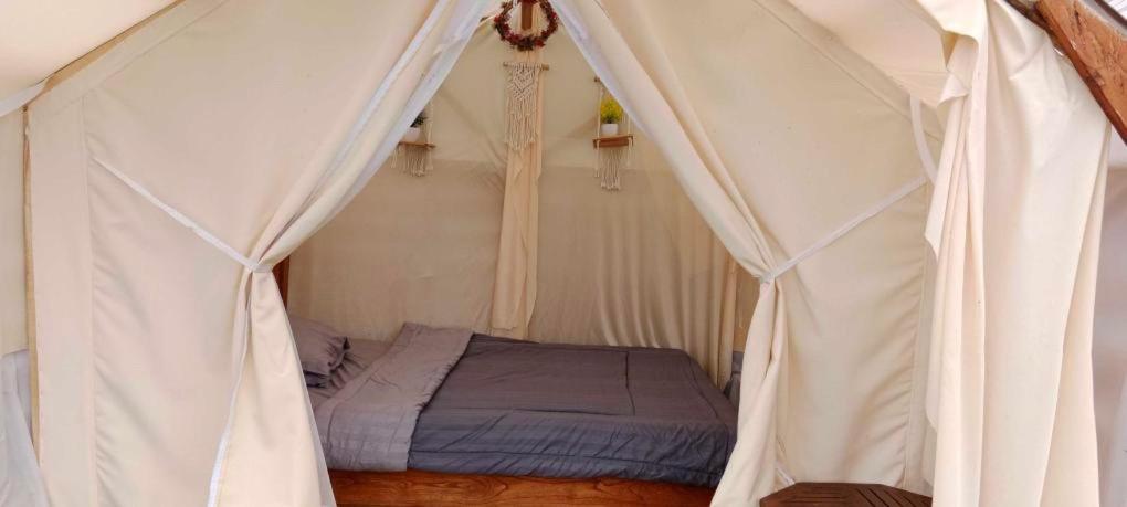 Deluxe Room - Photo 1