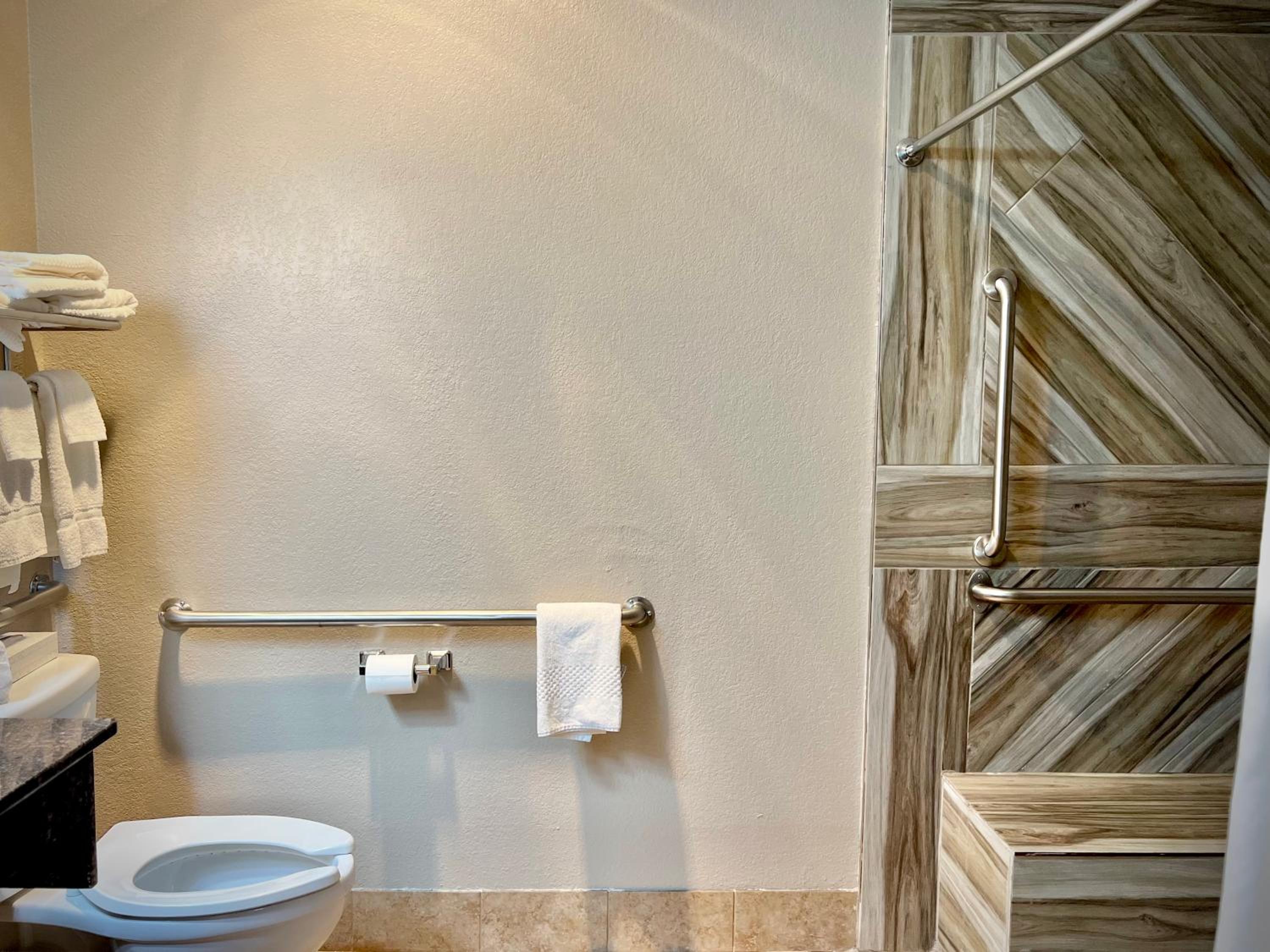 Queen Room with Roll-In Shower - Accessible/Non-Smoking photo 3