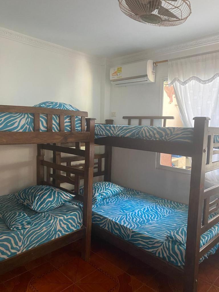 6-Bed Mixed Dormitory Room