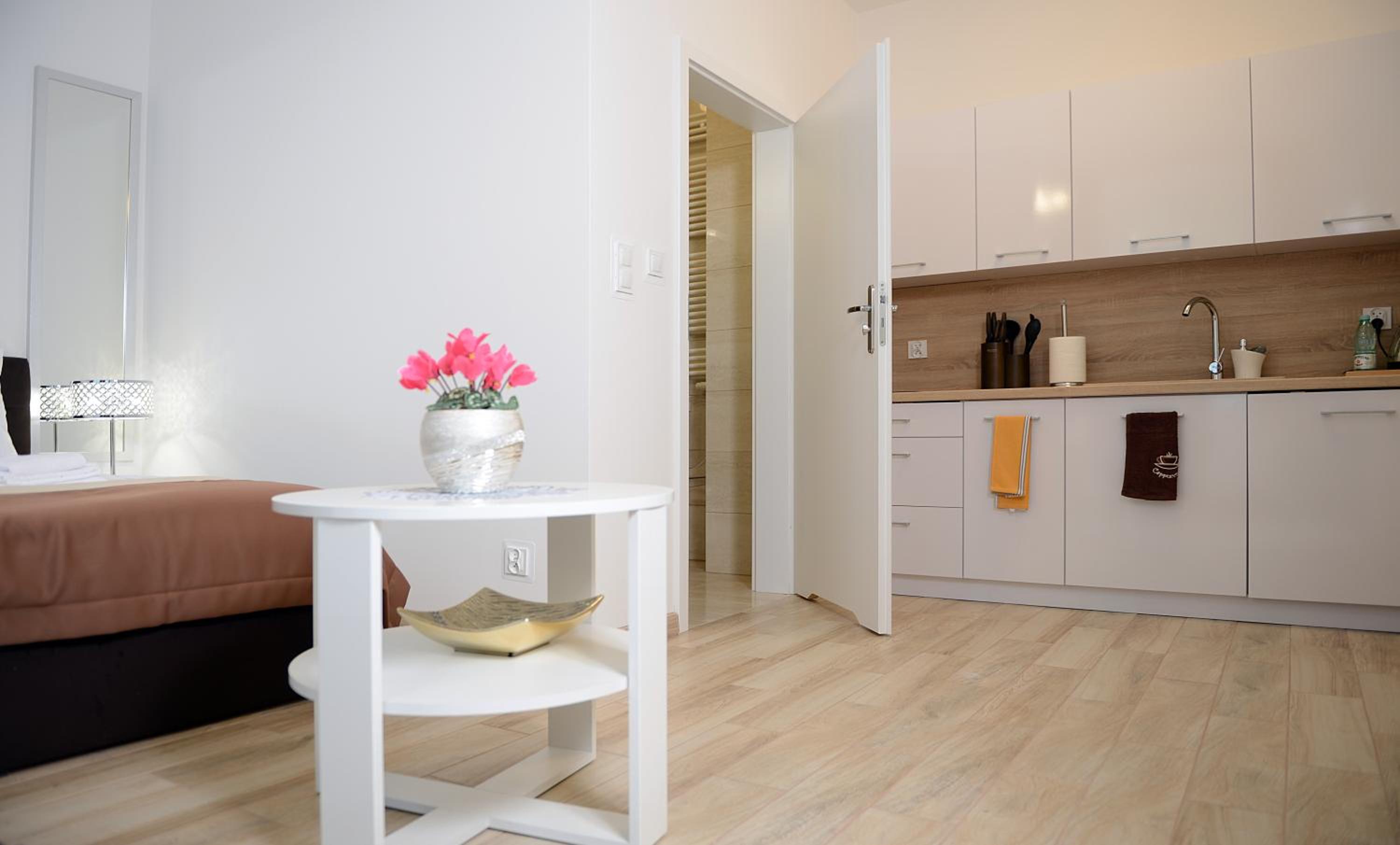 Standard Apartment photo 2
