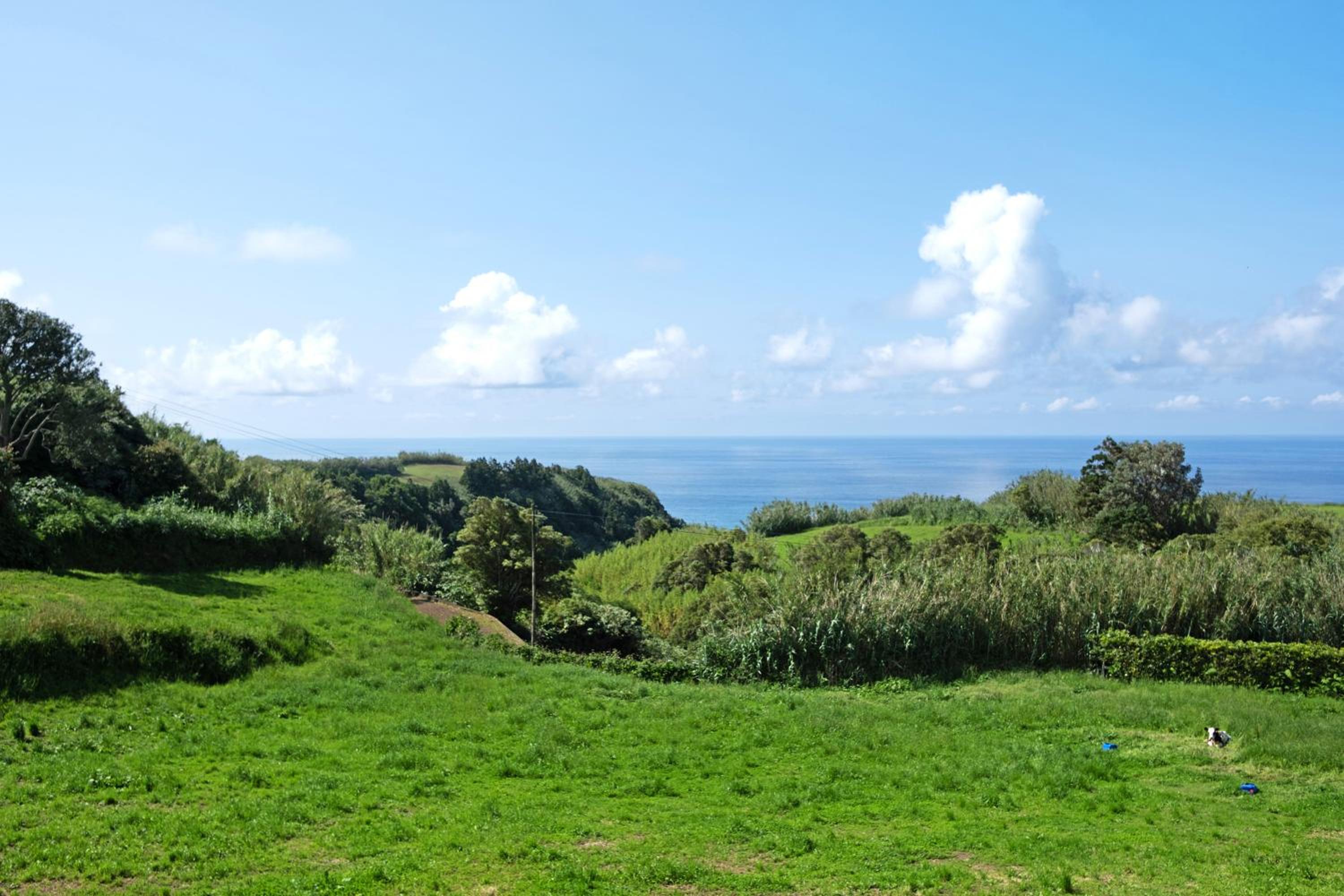 Villa with Sea View photo 3