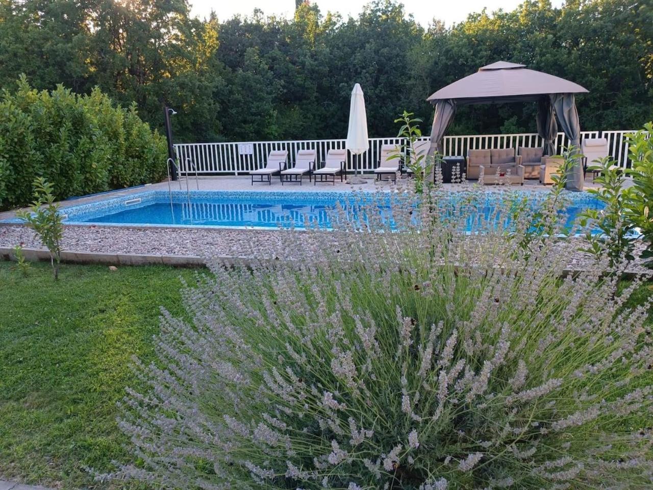 Three-Bedroom Villa photo 2