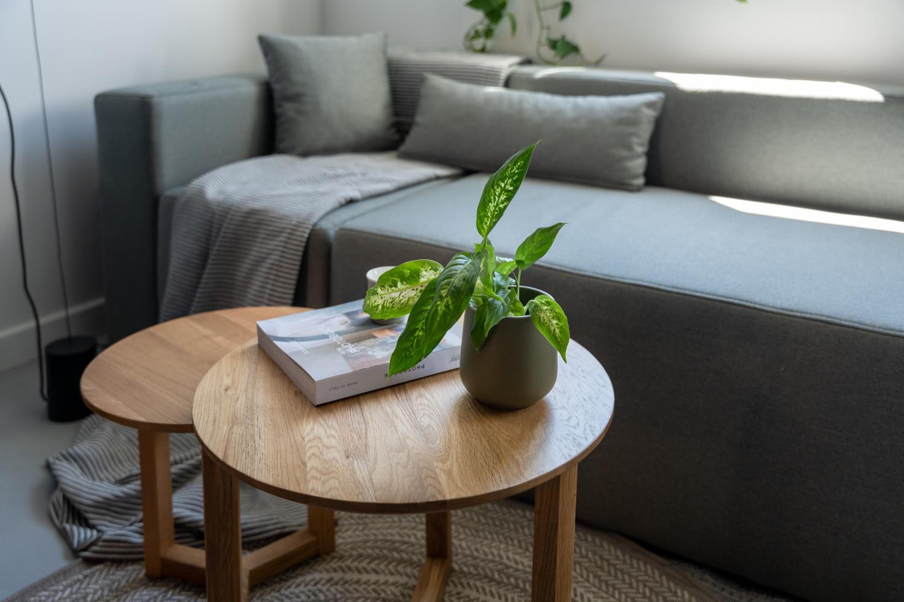 Apartment - Split Level