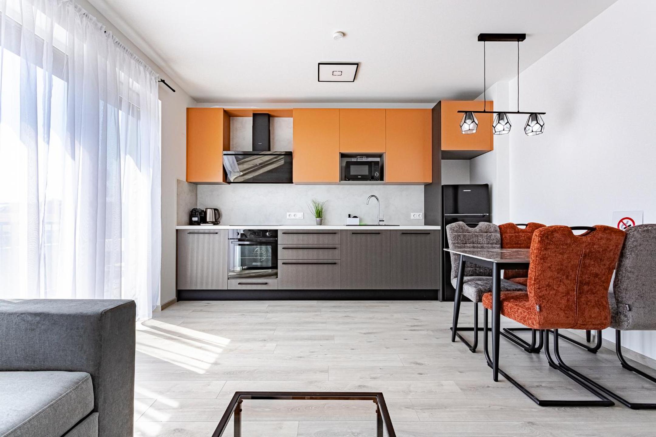 Two-Bedroom Apartment with Balcony and Terrace