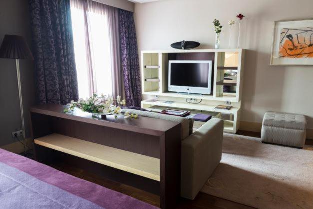 Premium Suite - Photo 5
