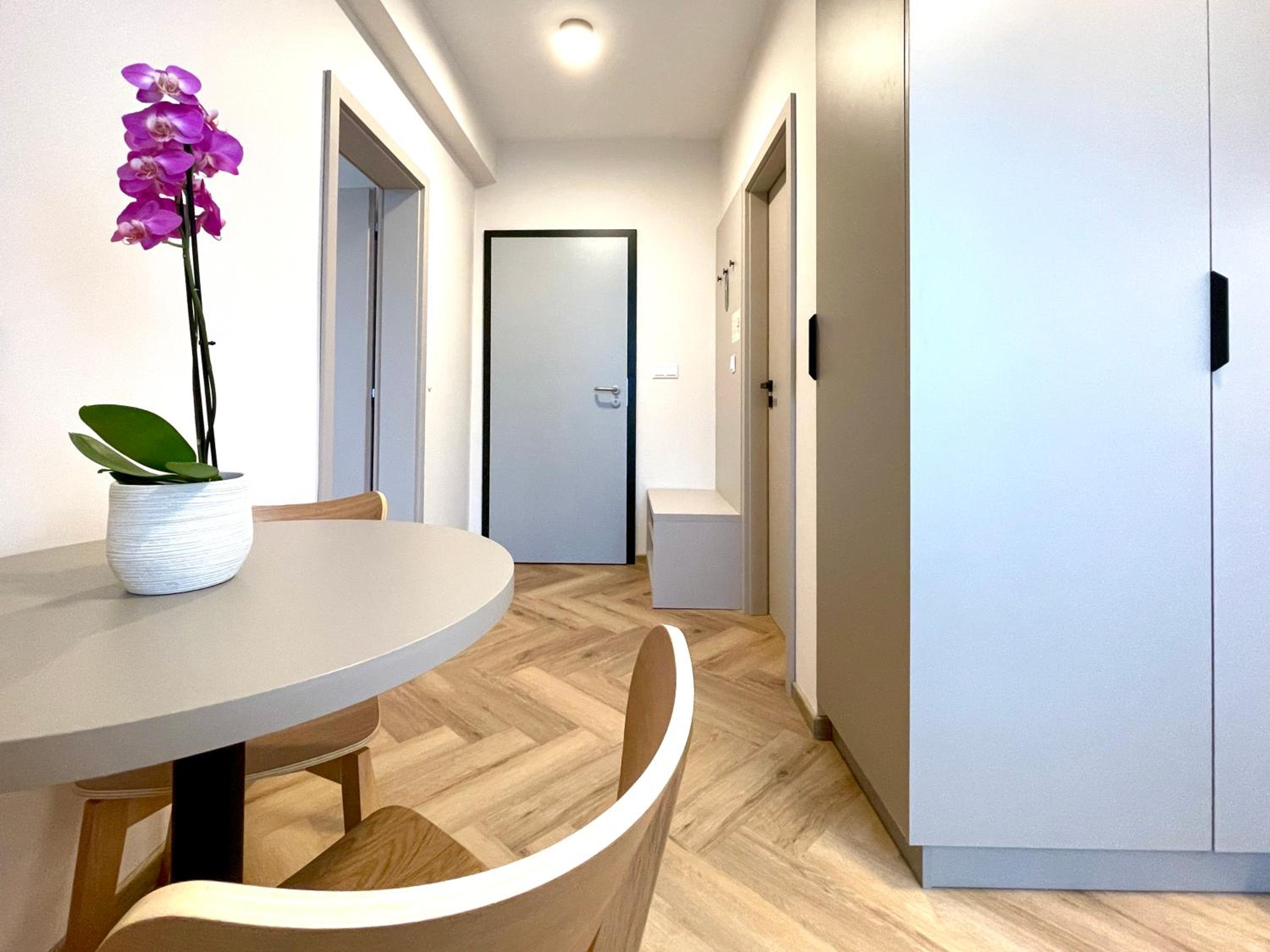 Deluxe Apartment - Photo 4