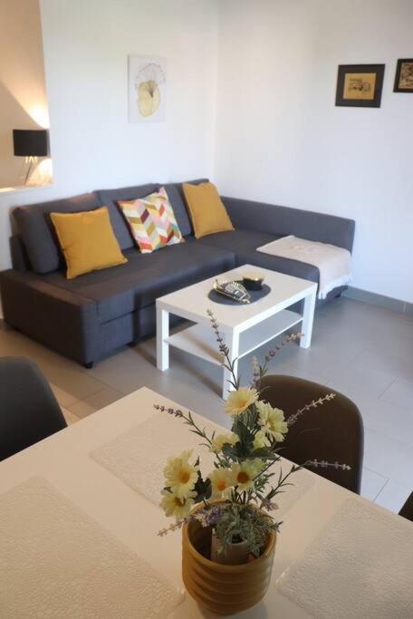 One-Bedroom Apartment photo 3