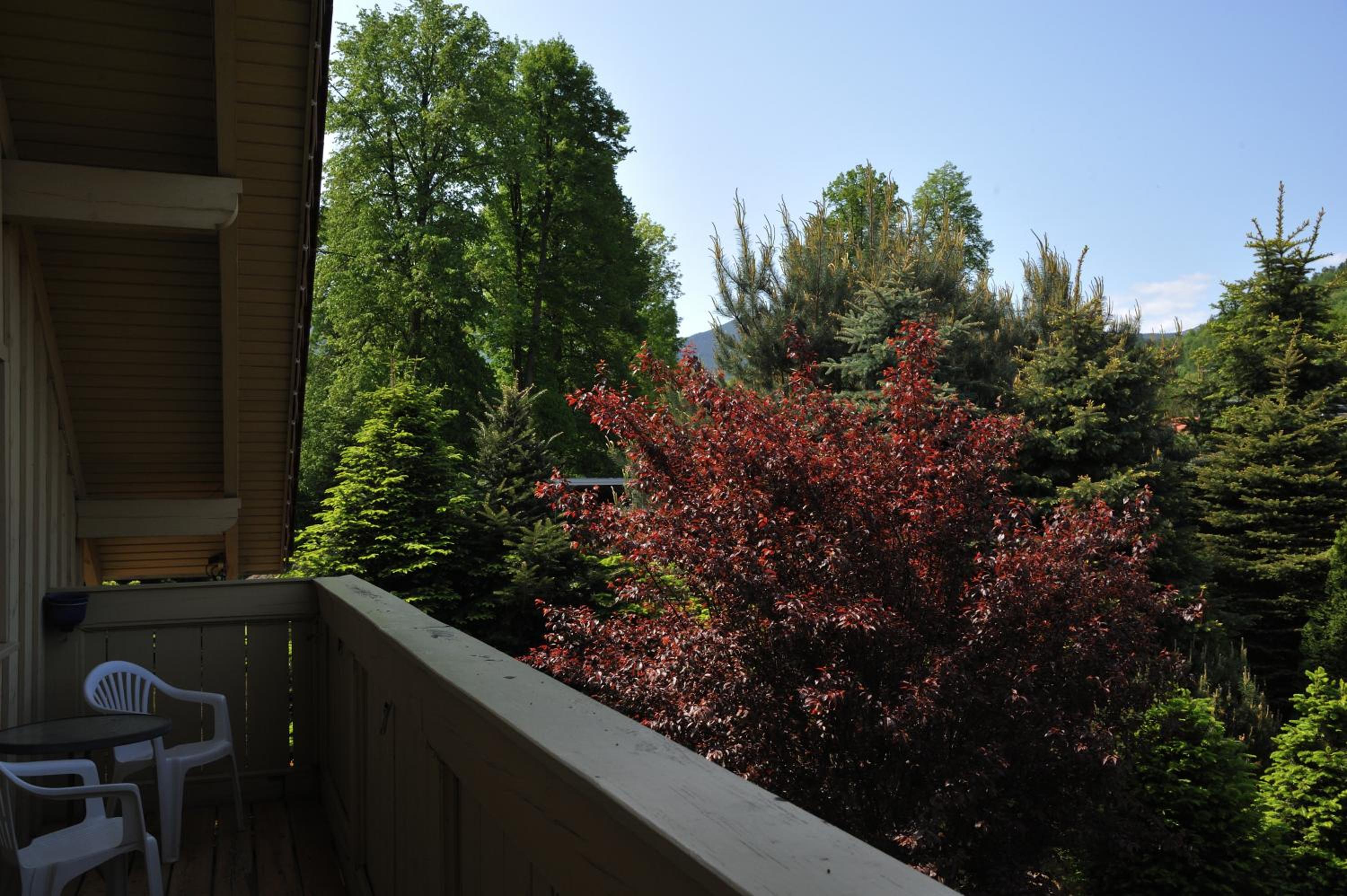 Apartment with Balcony - Photo 10