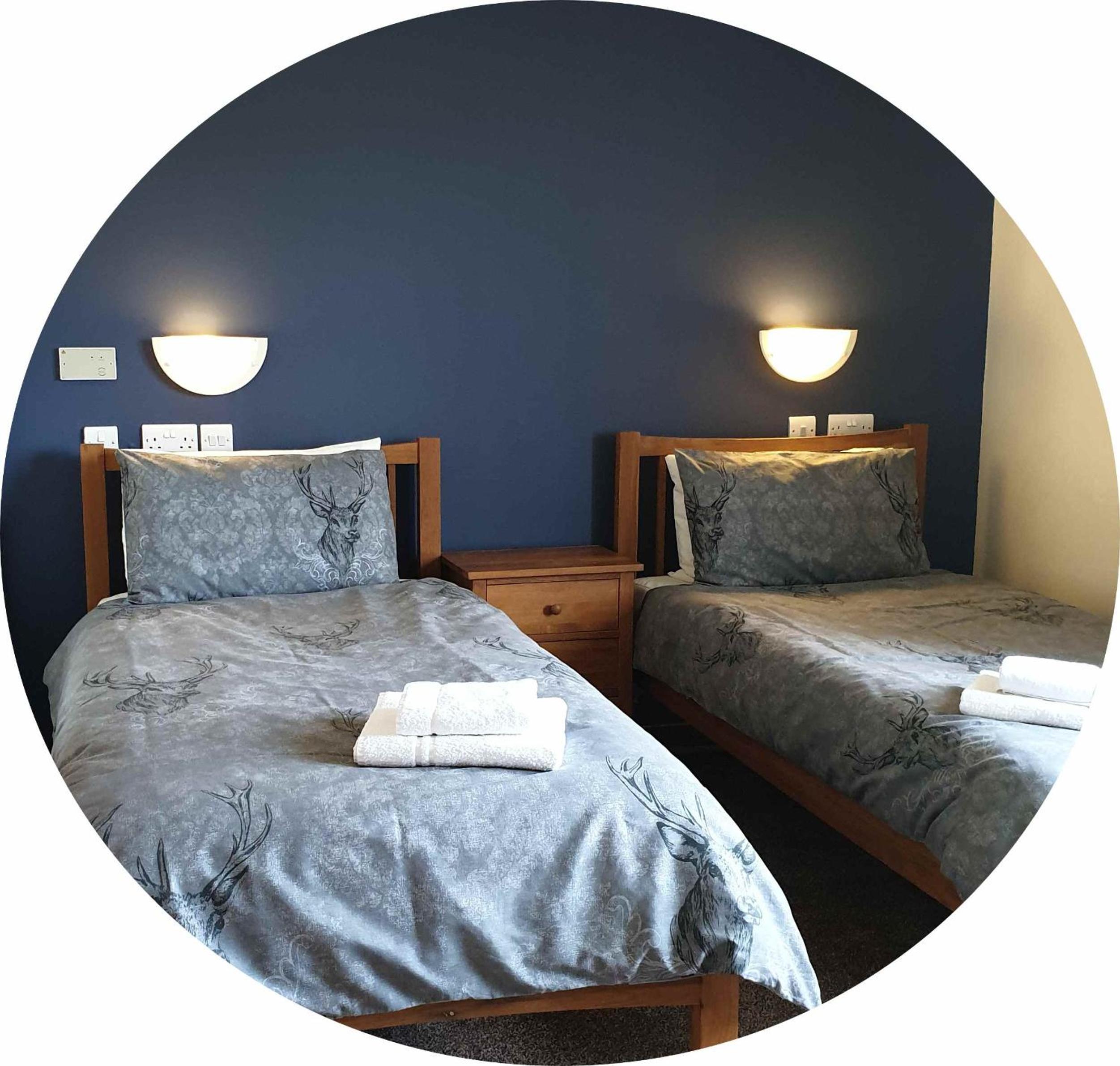 Deluxe Twin Room photo 1