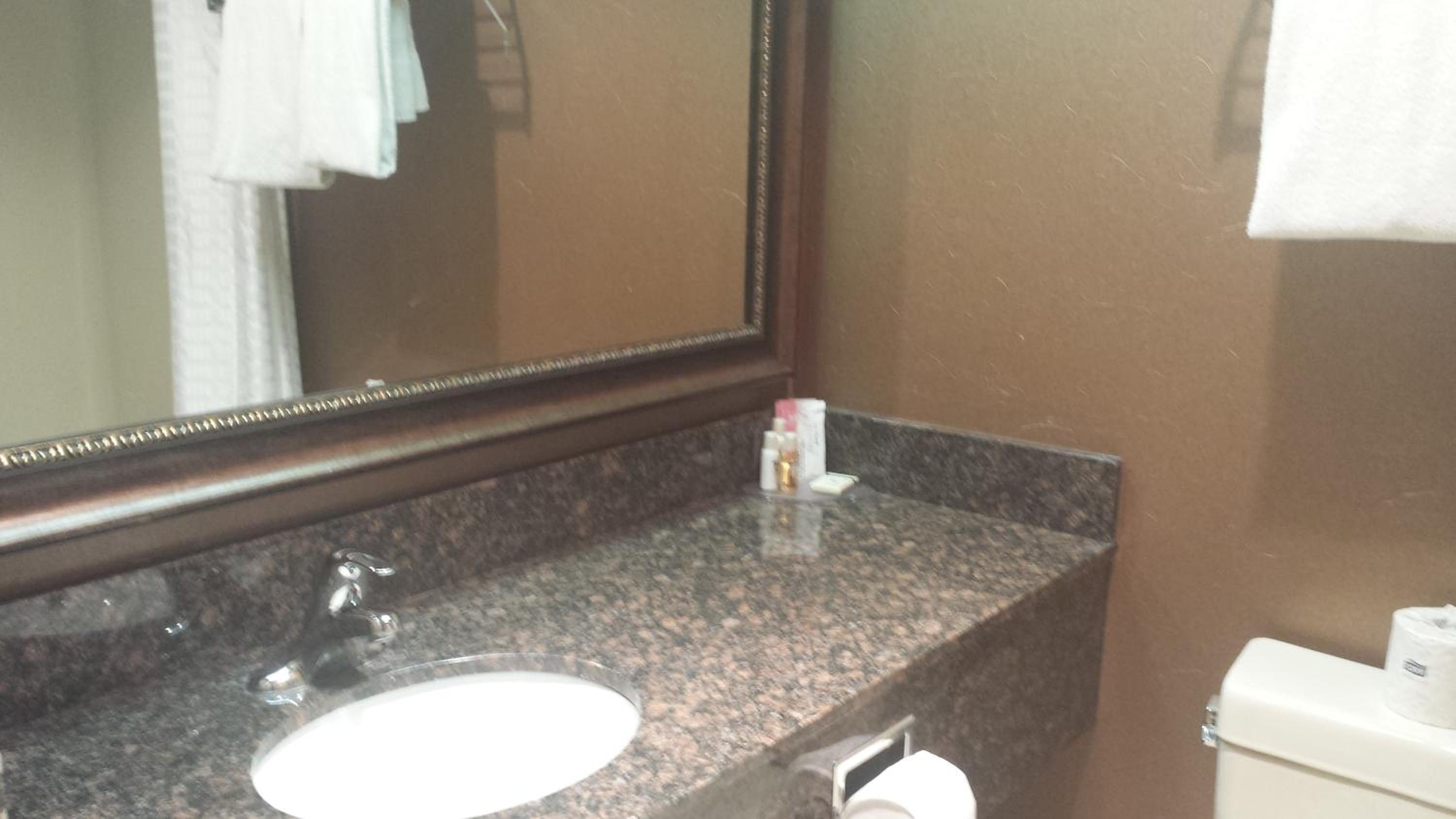 Deluxe King Suite - Non-Smoking - Photo 3