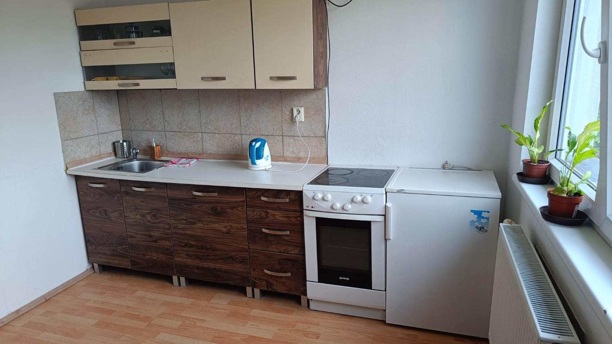 One-Bedroom Apartment - Non-Smoking photo 3