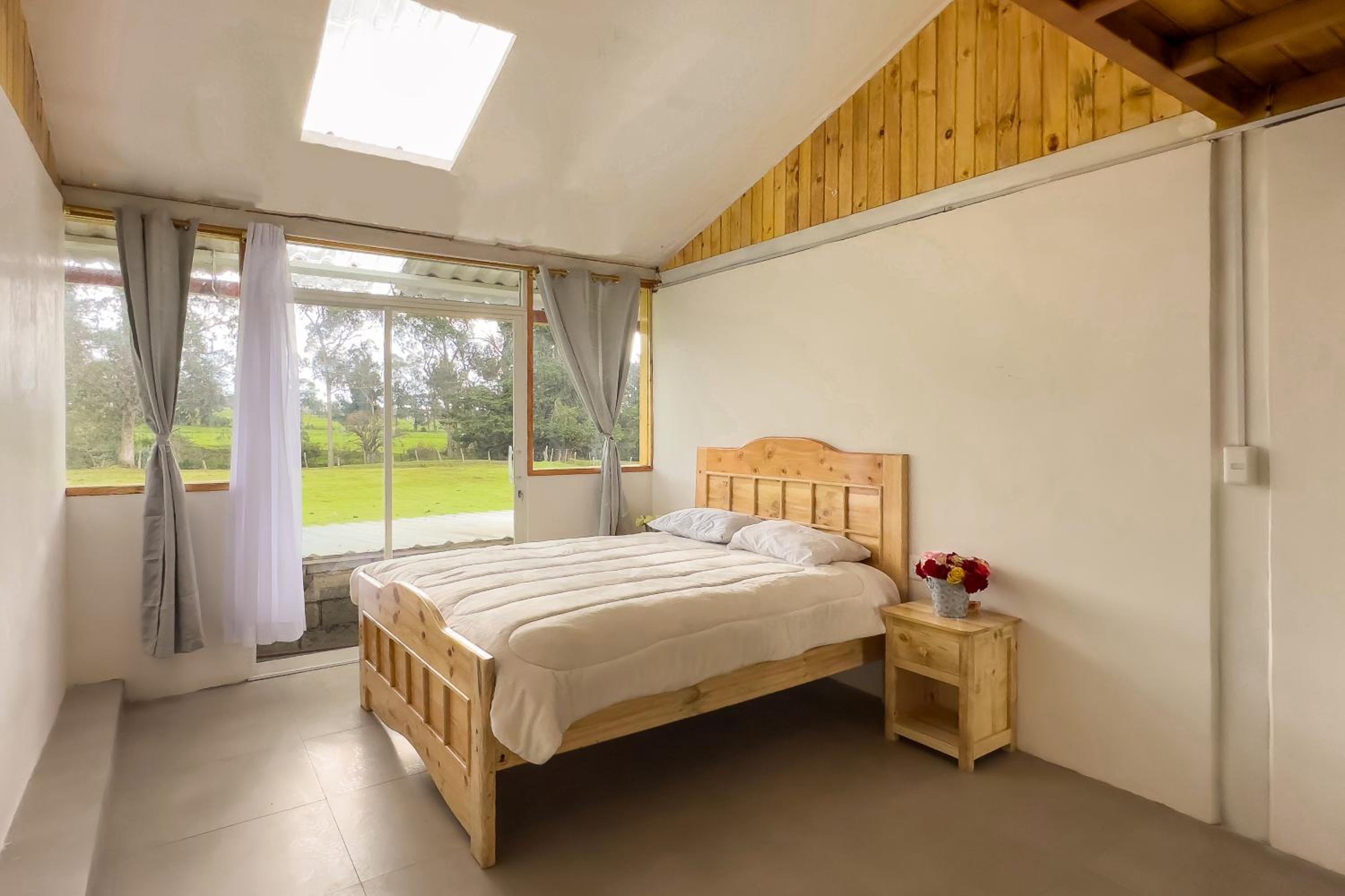 Double or Twin Room photo 1