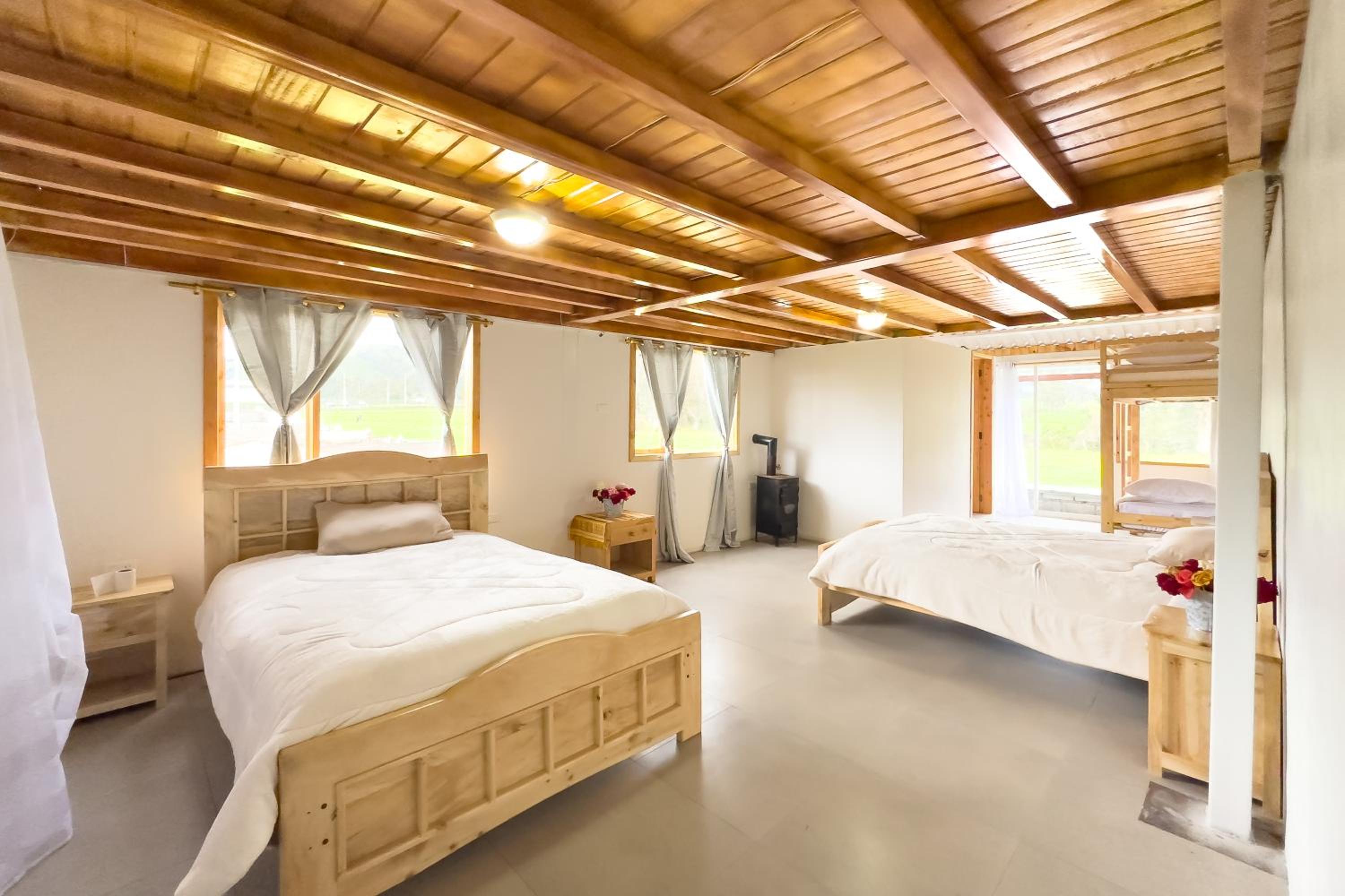 Triple Room photo 1
