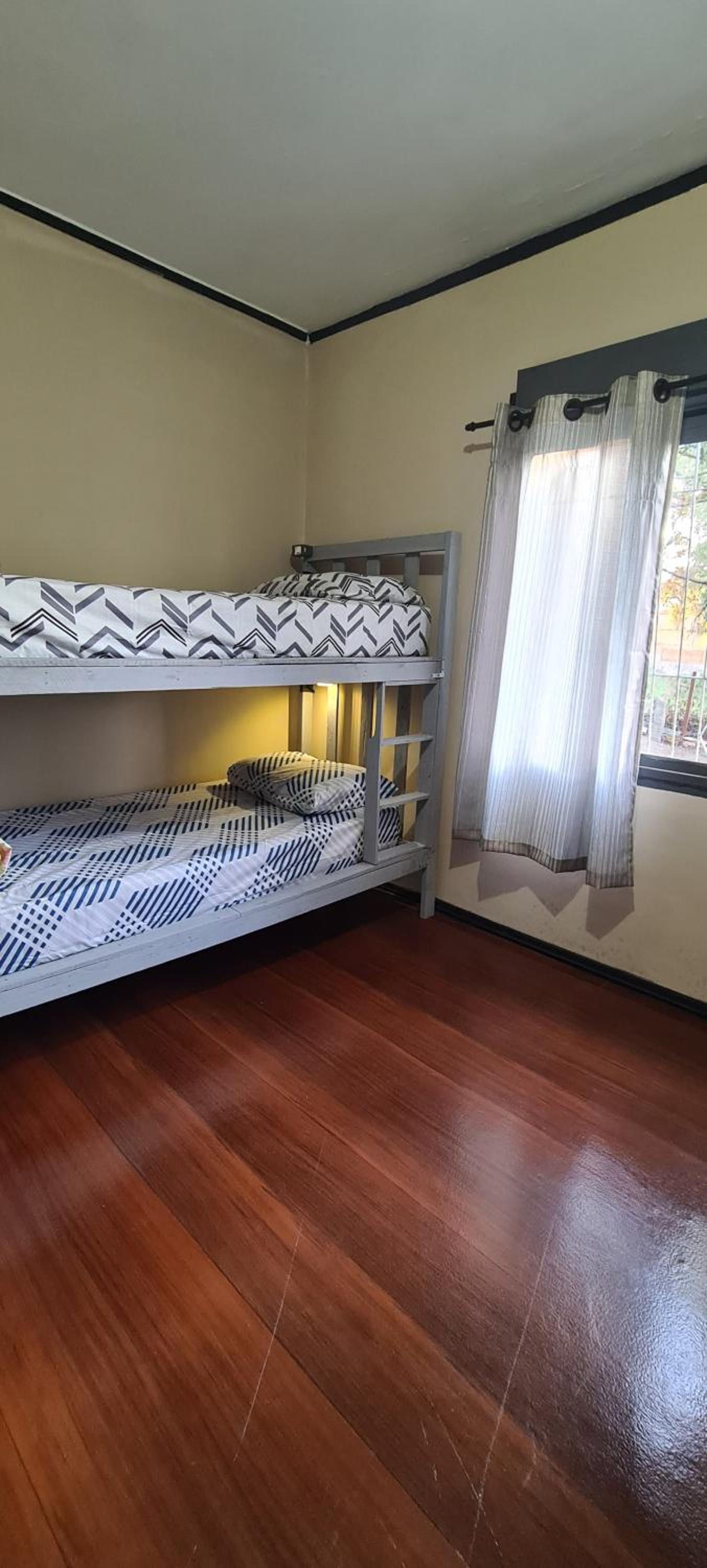 Bunk Bed in Mixed Dormitory Room