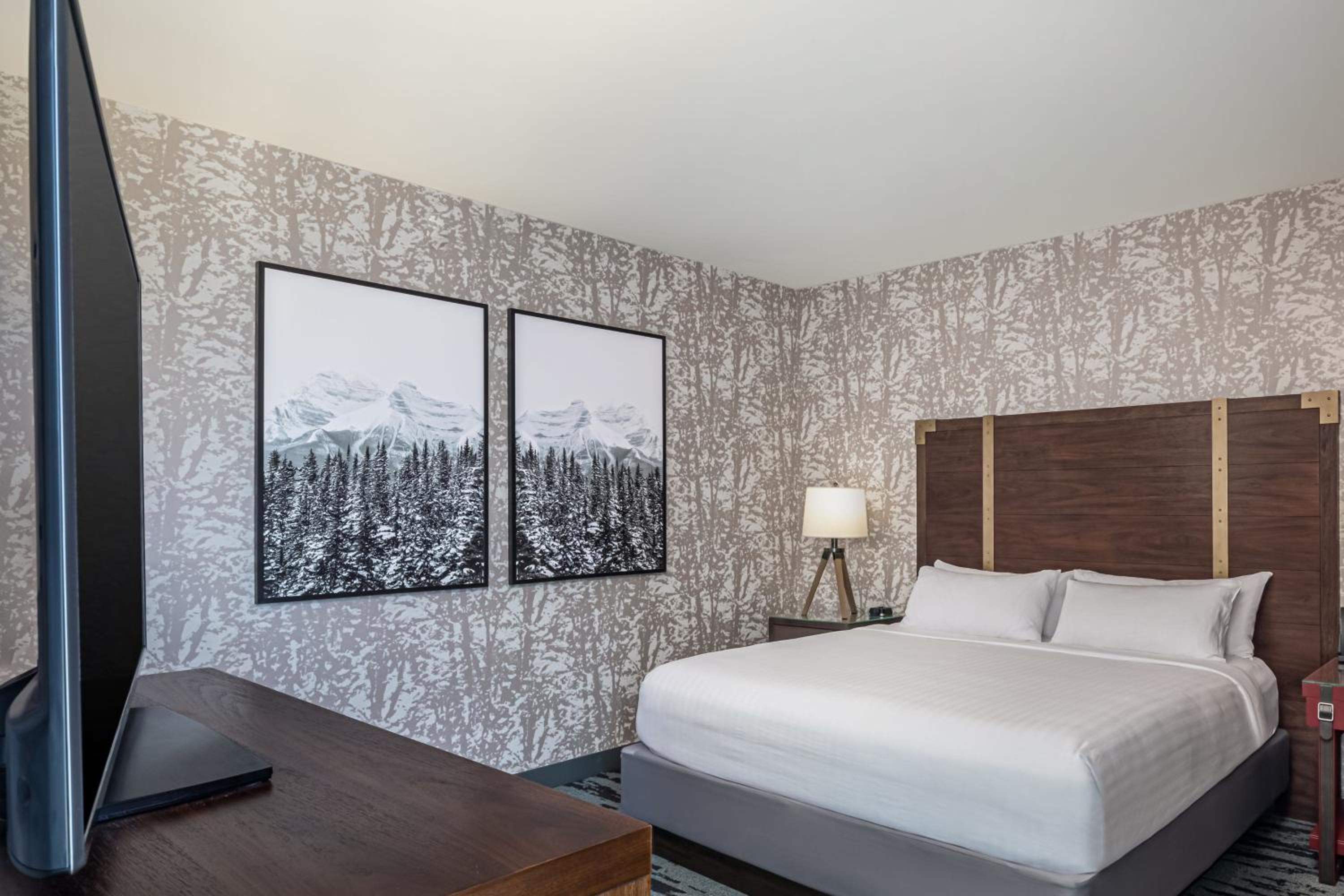 Executive King Room with Sofa Bed