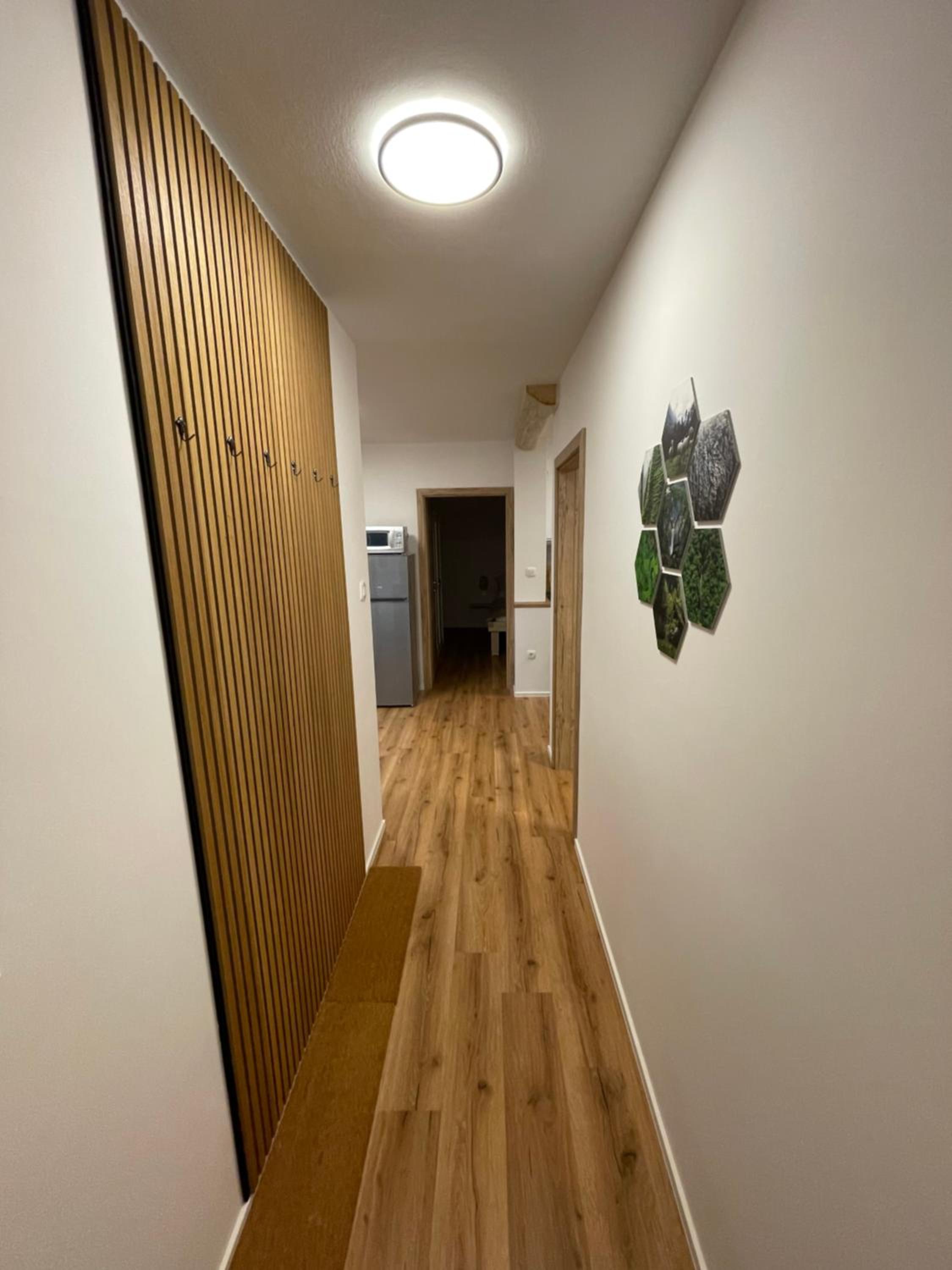 Apartment with Terrace photo 1