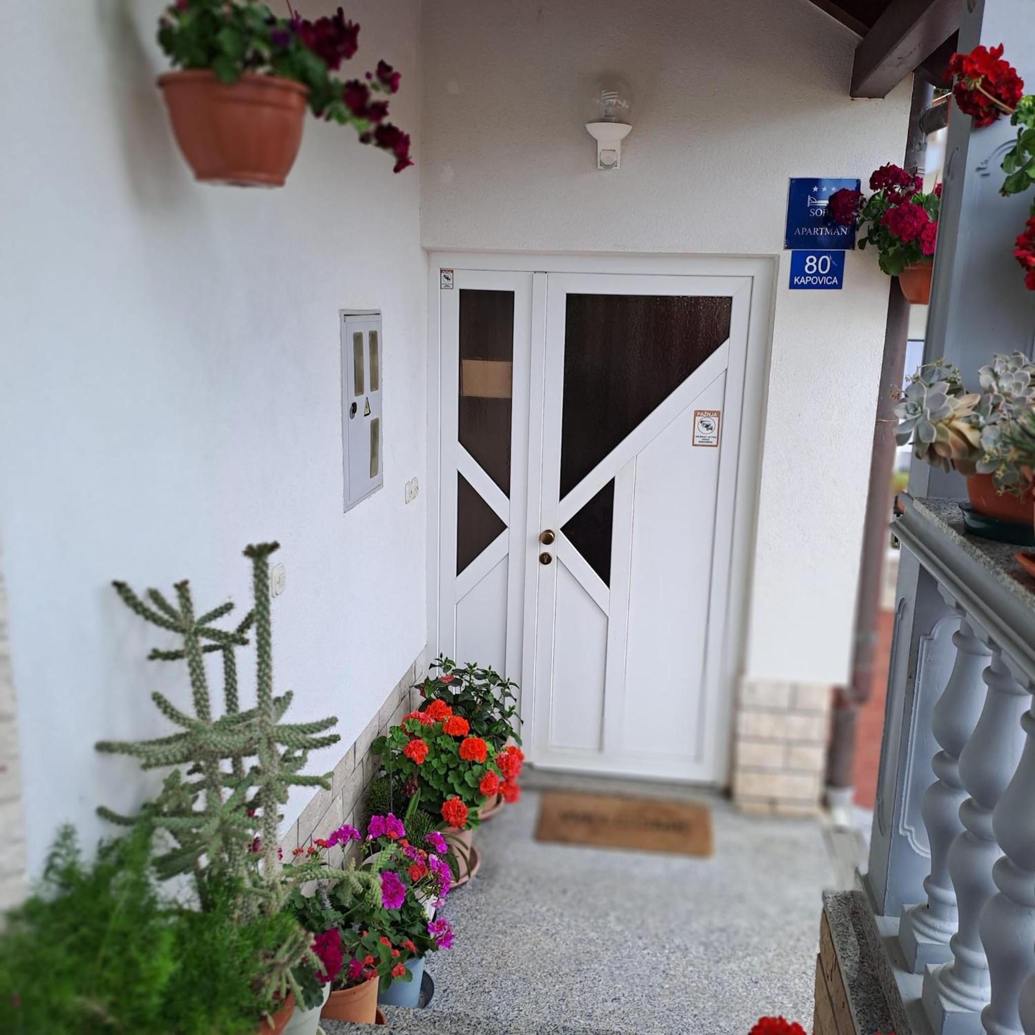 Studio with Balcony - Photo 19