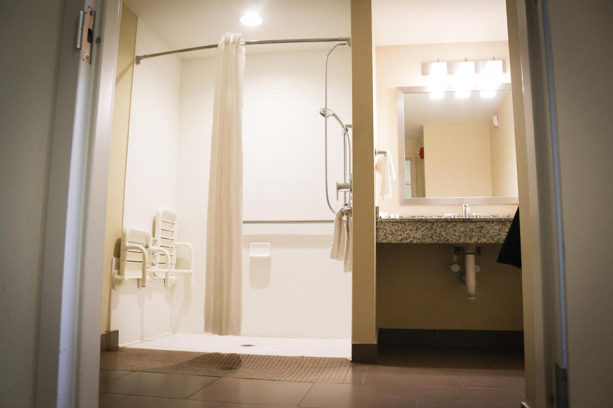 King Suite with Roll-In Shower - Accessible/Non-Smoking photo 2