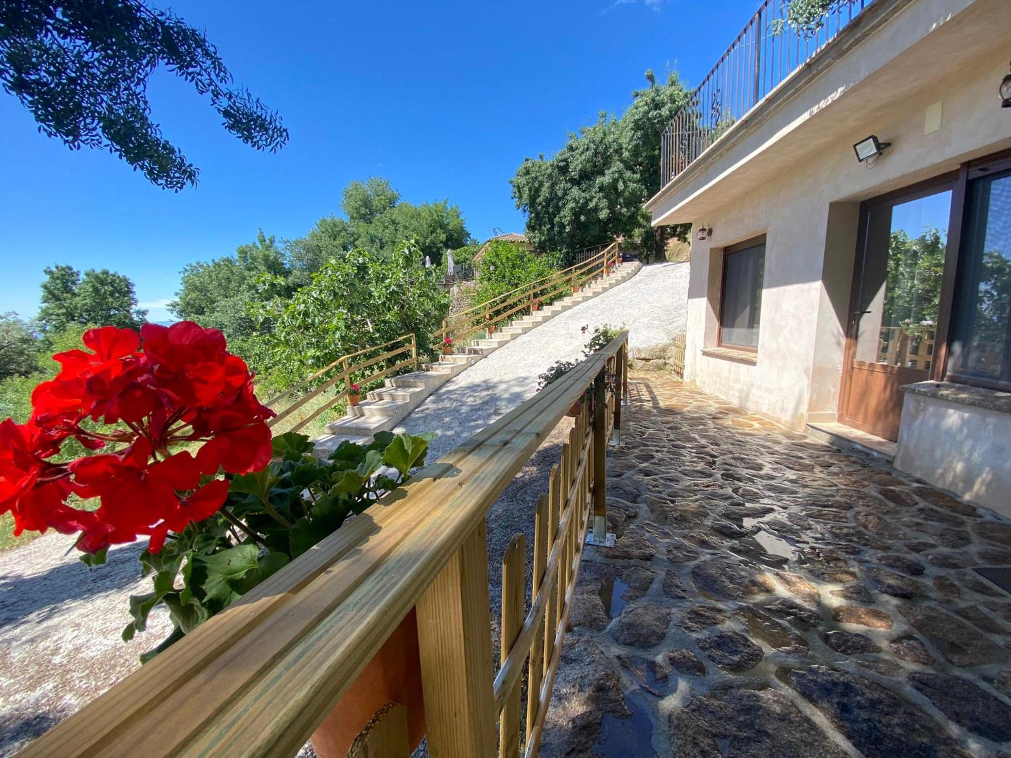 Studio with Terrace photo 3