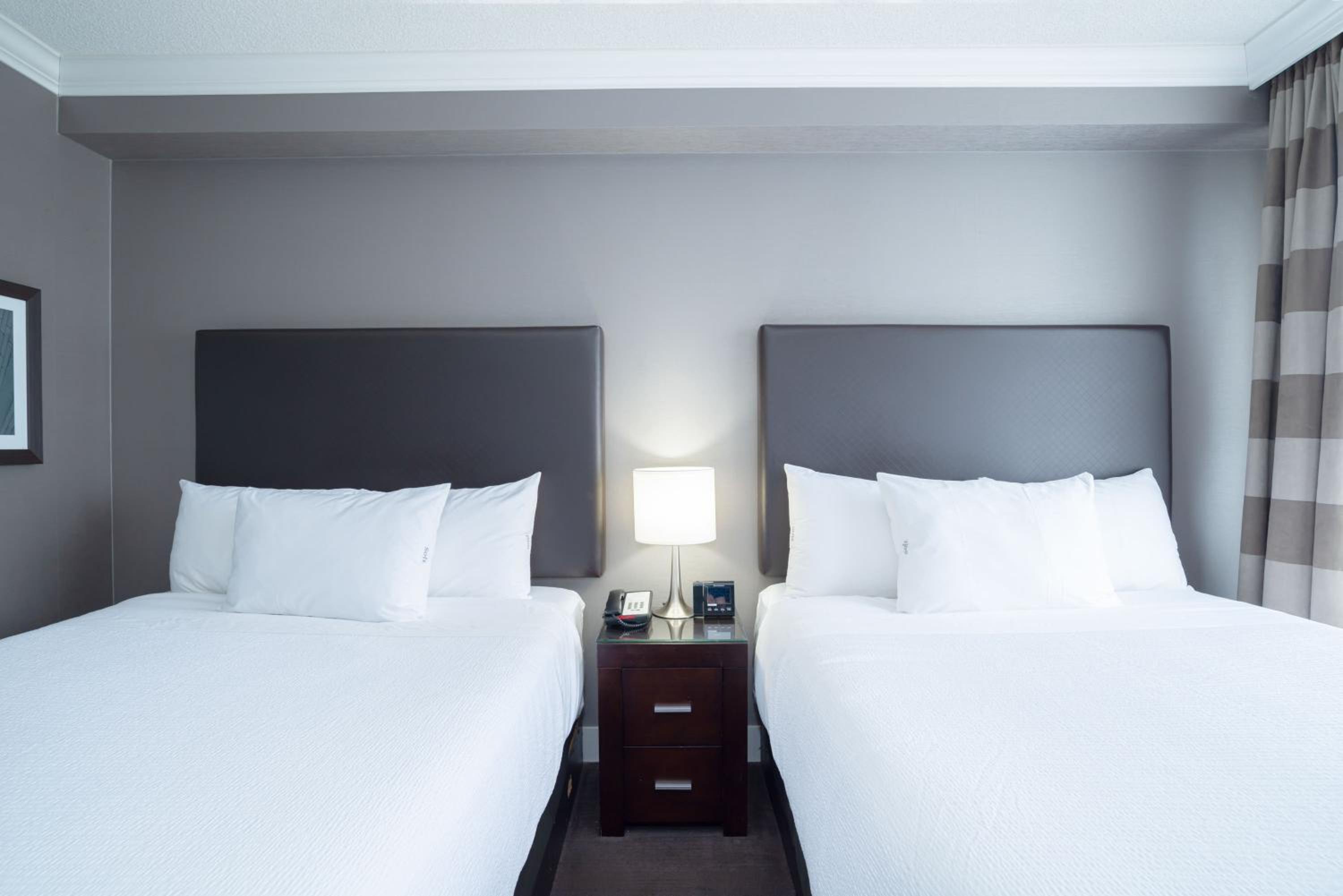 Standard Suite, 2 Queen Beds, Sofa Bed