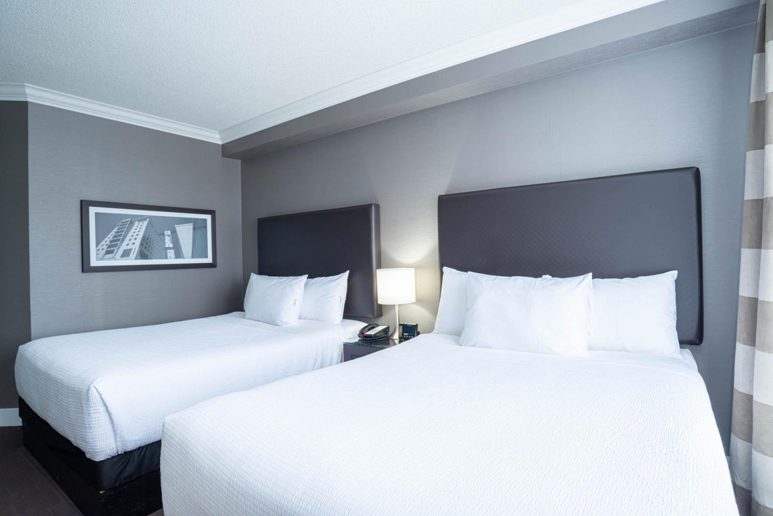 Standard Suite, 2 Queen Beds, Sofa Bed