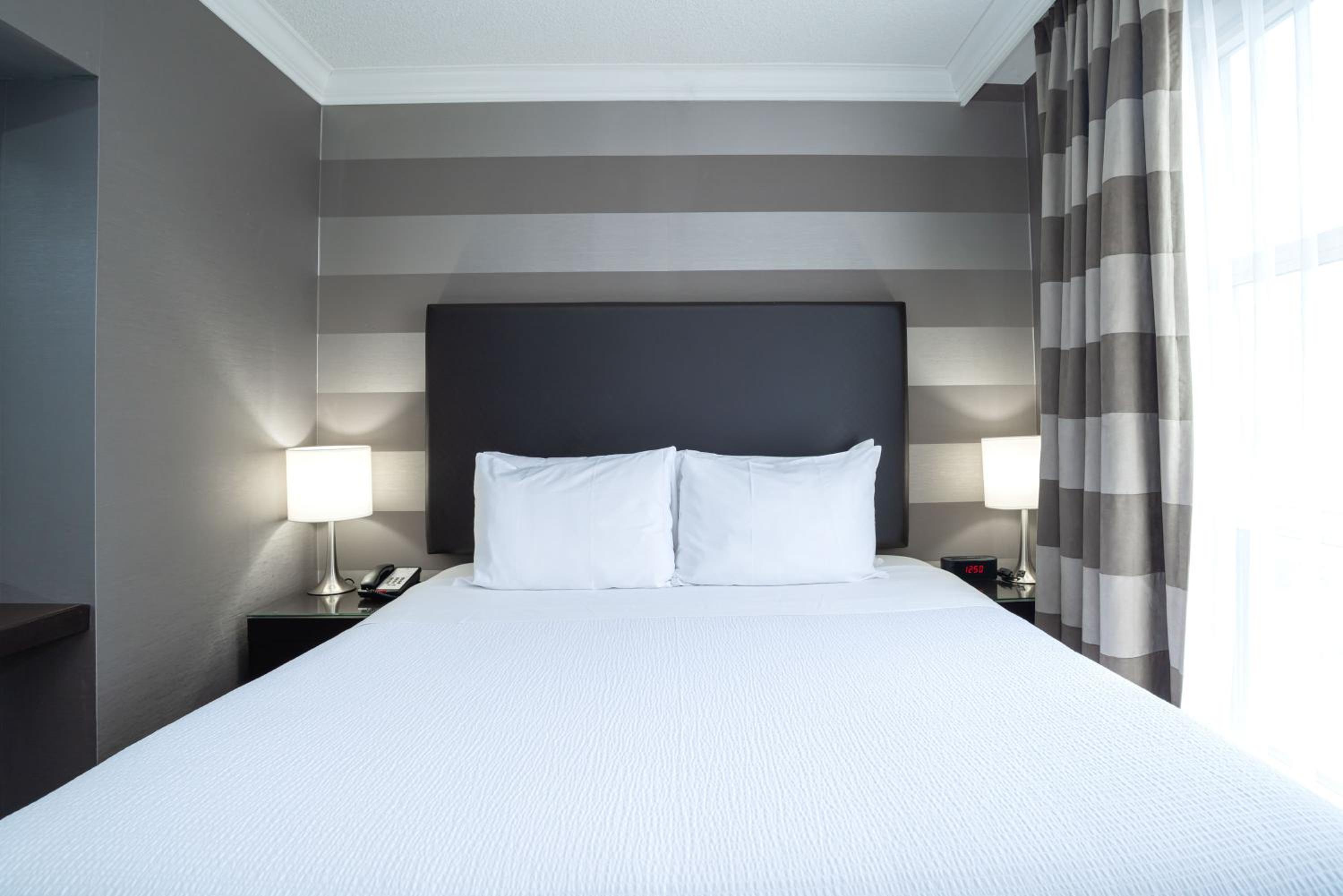 Standard Suite, 1 King Bed, Sofa Bed
