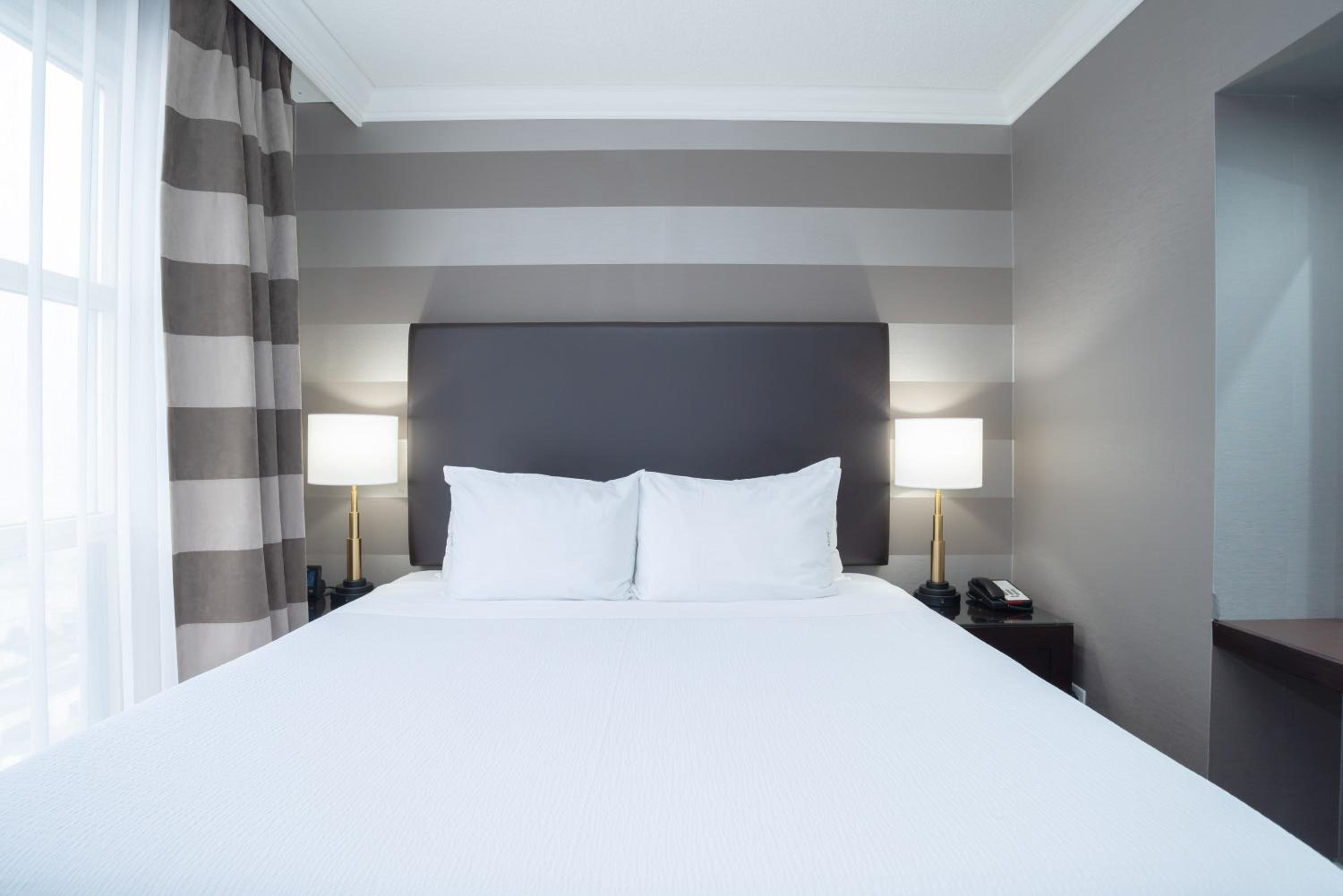 Standard Suite, 1 King Bed, Sofa Bed, Kitchen