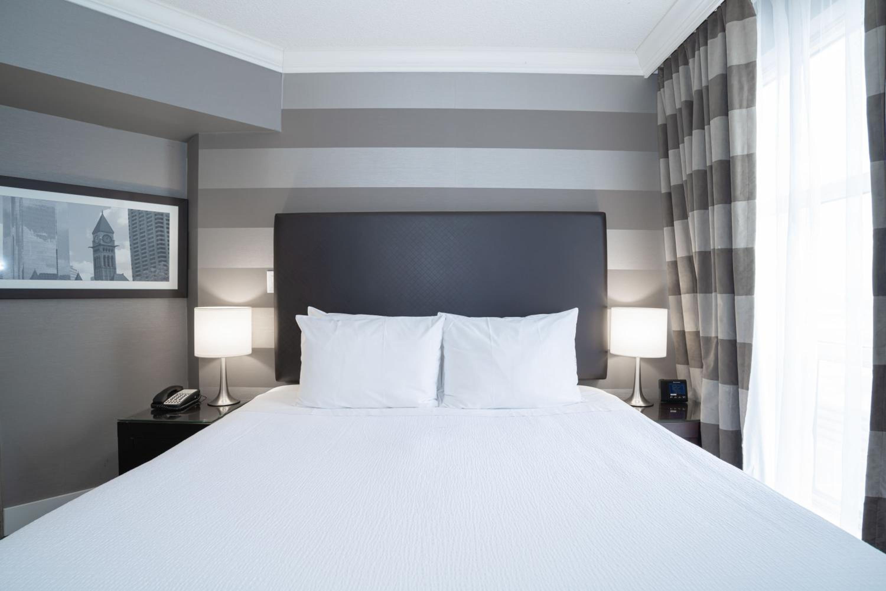 Jacuzzi Suite, 1 King Bed, Sofa Bed