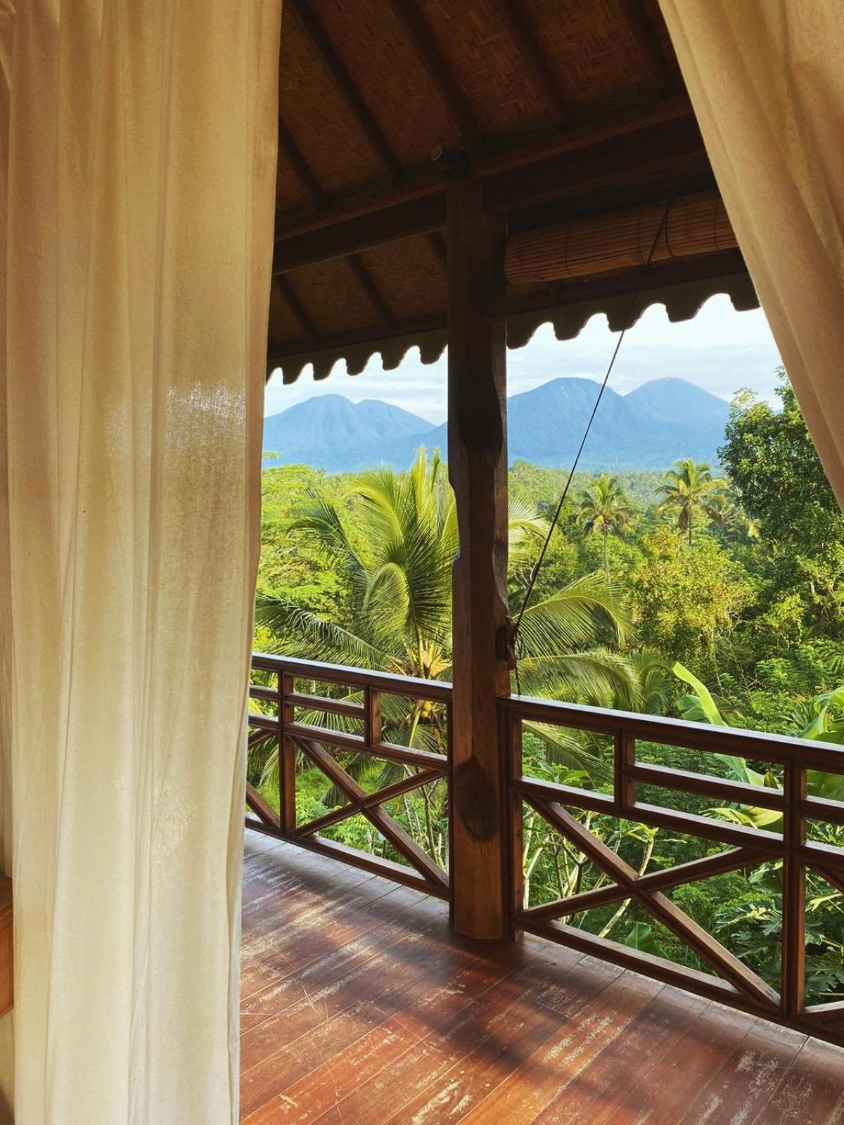 Twin Room with View photo 2