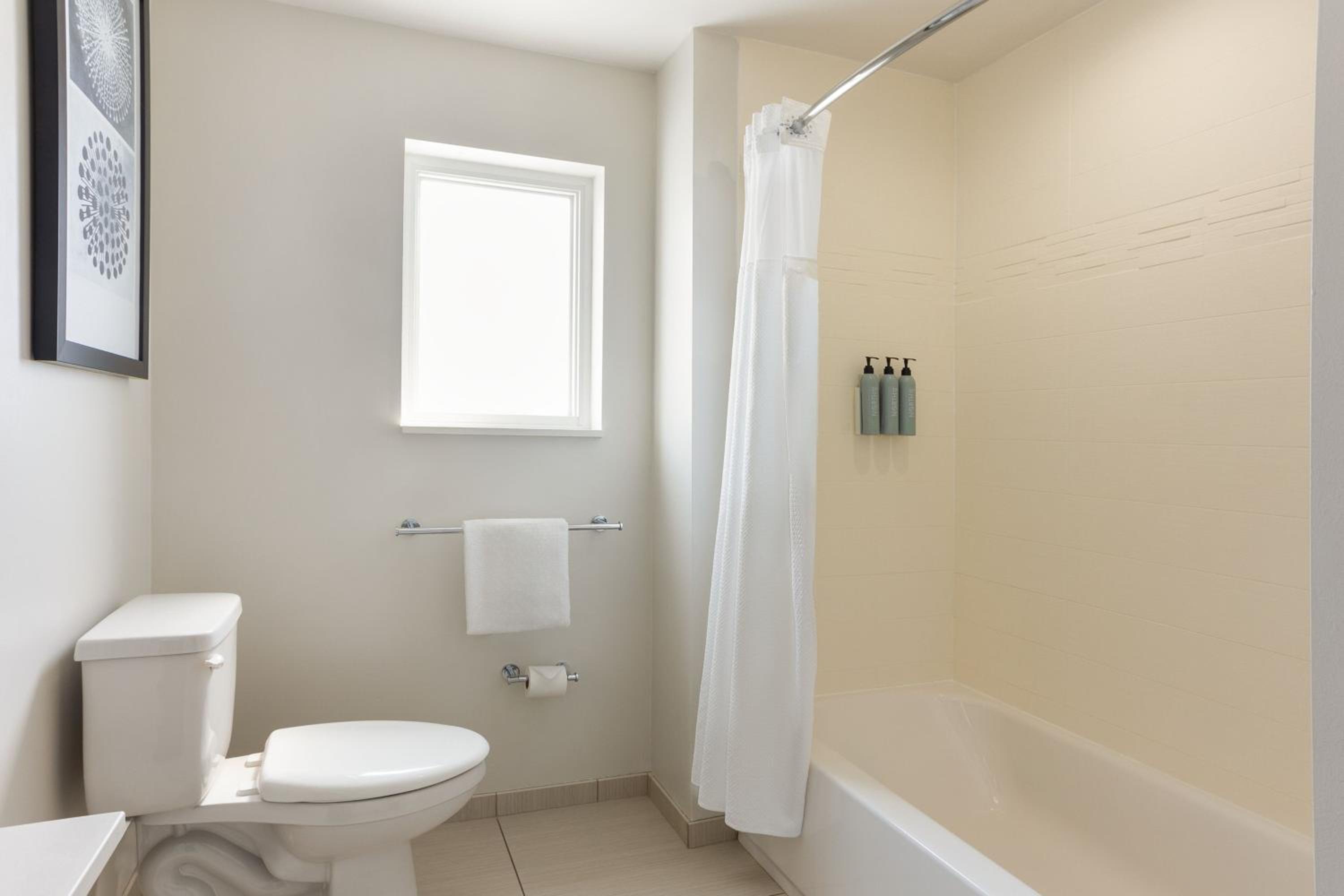 1 Bedroom Suite, King, Sofa bed, Corner room photo 2