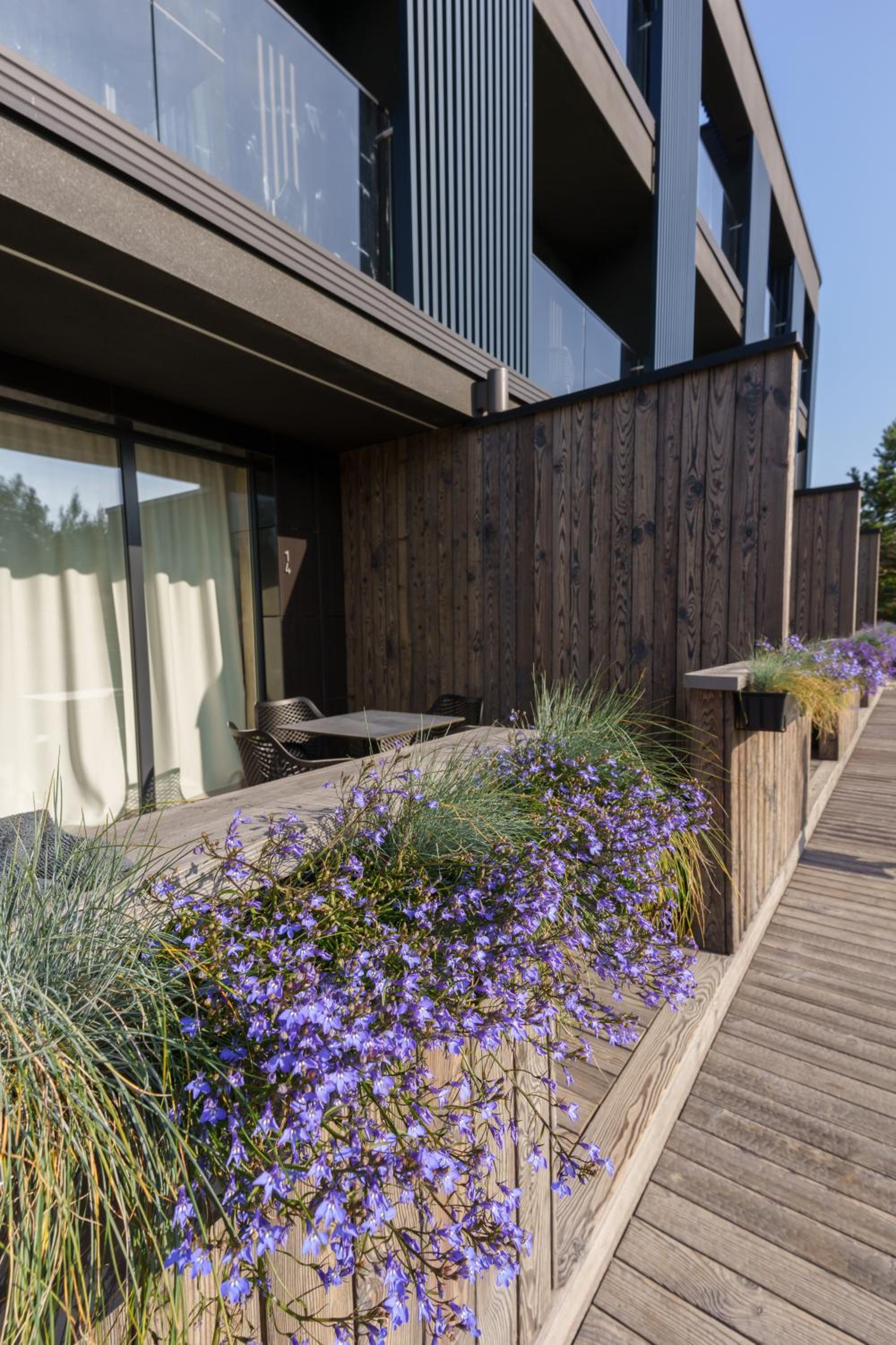 Apartment with Terrace - Photo 1