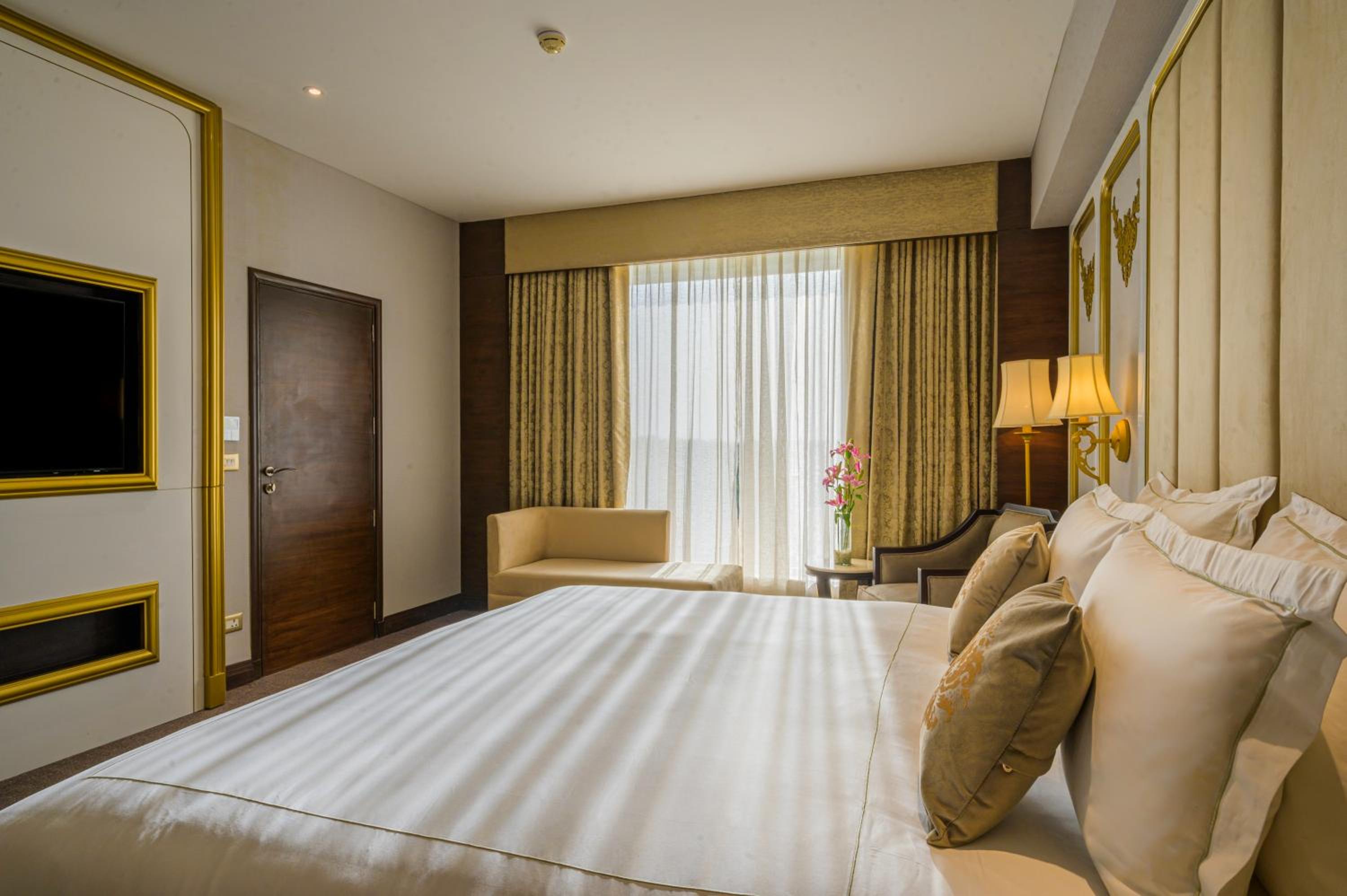 Suite - Photo 1