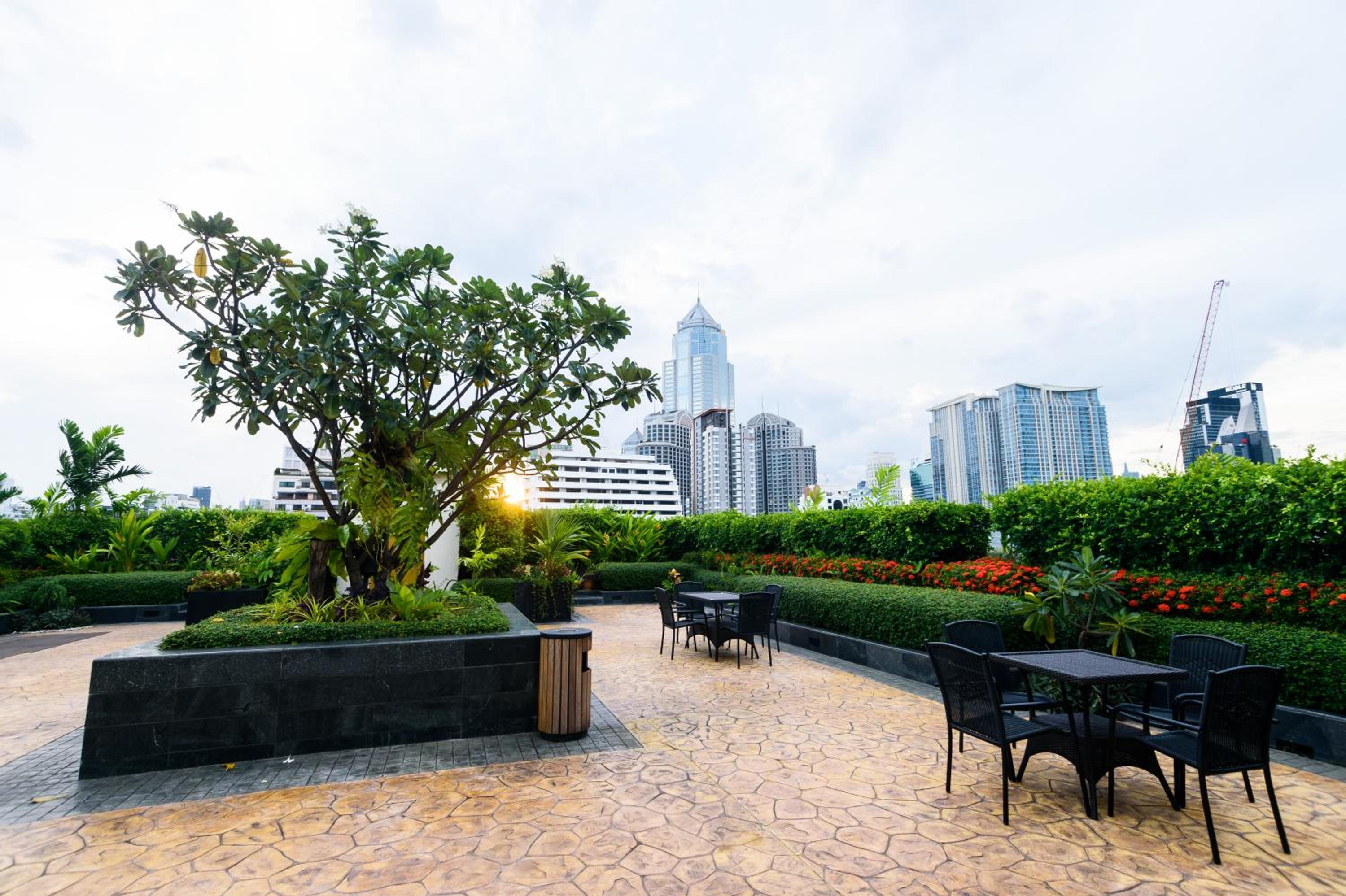 Premier Balcony Suite photo 3