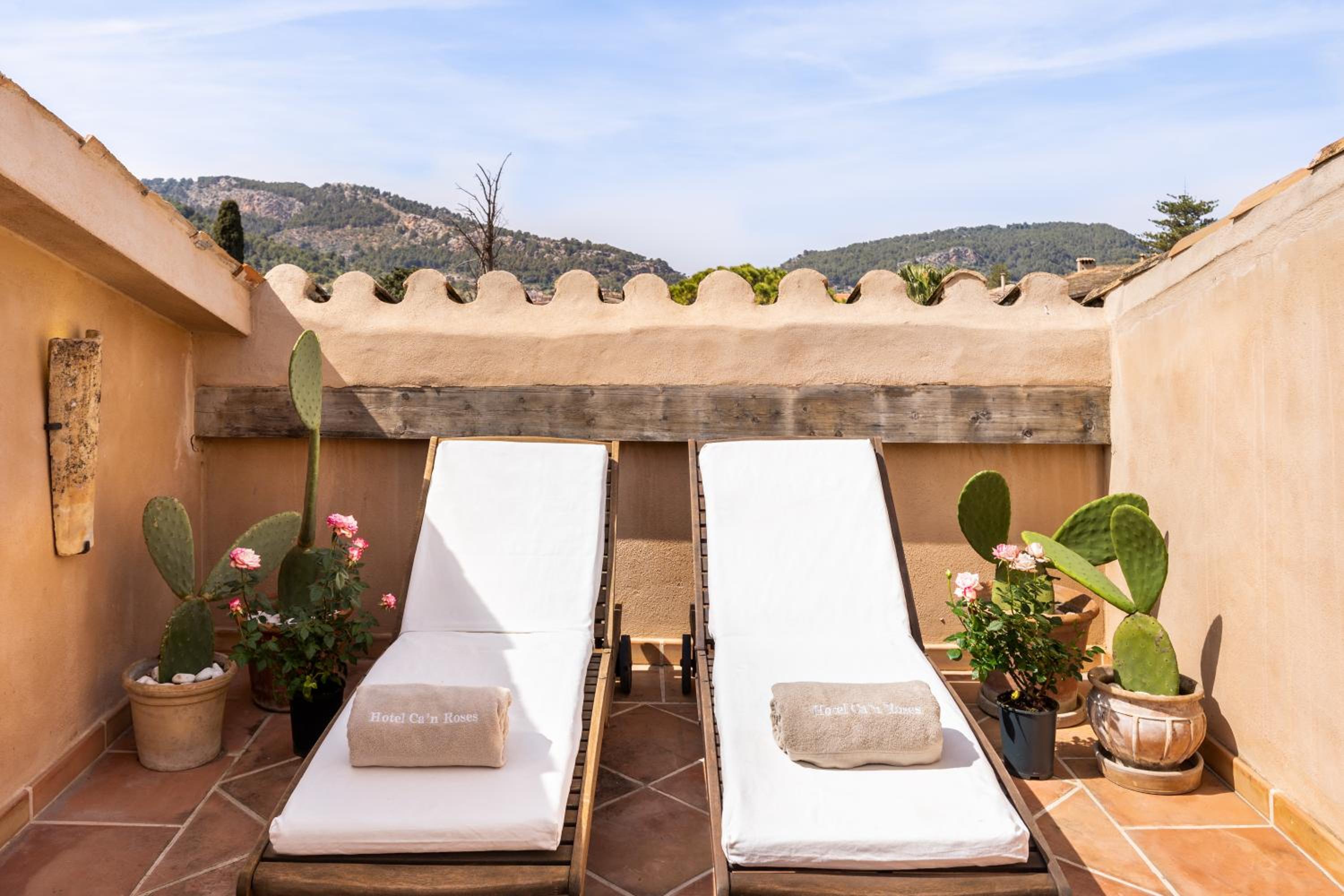 Suite Junior con Terraza